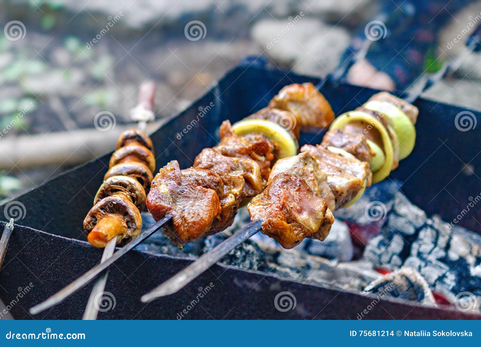 Roast kebabs on BBQ Grill stock photo. Image of meat - 75681214