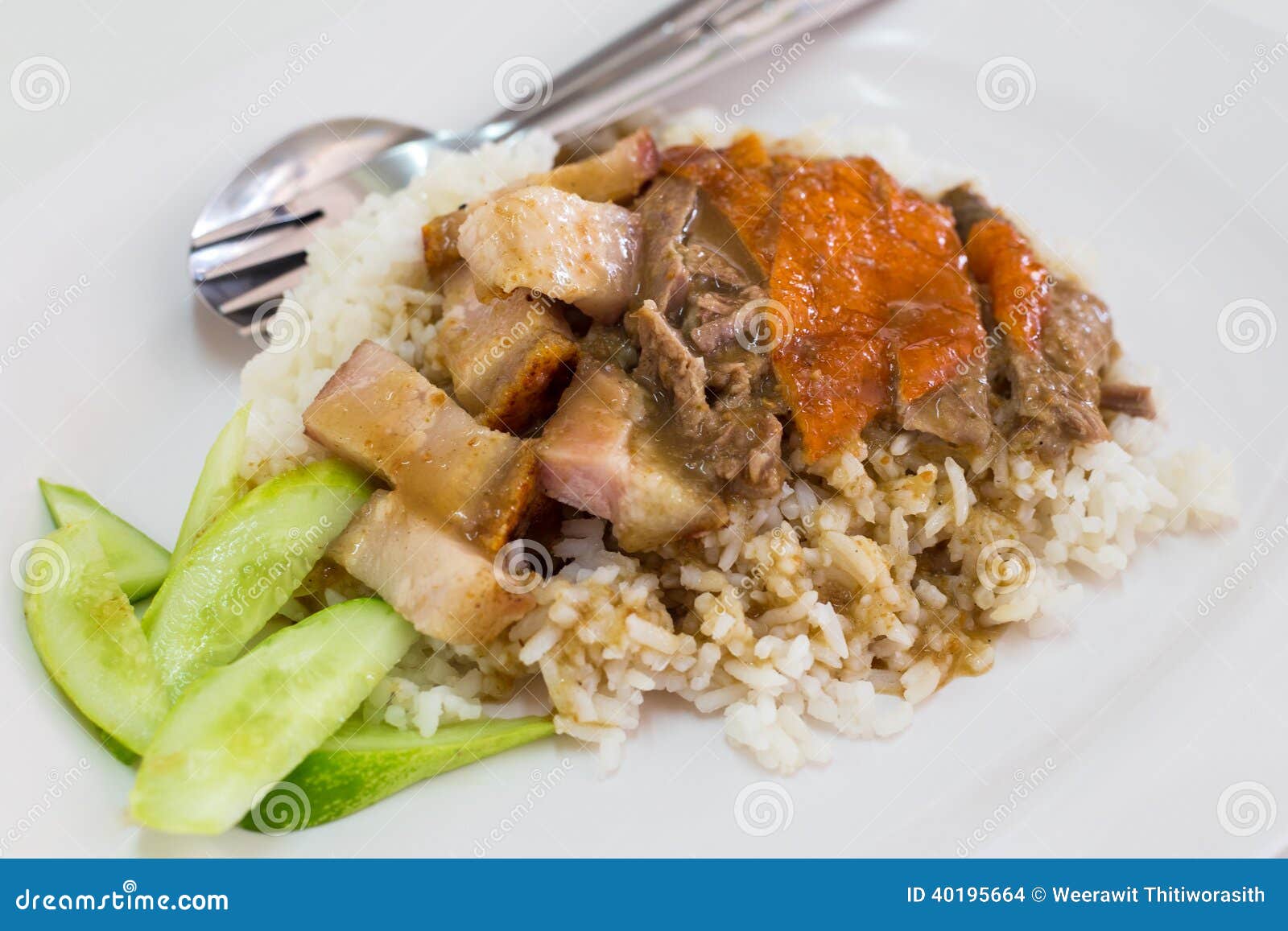 Roast pork and duck rice stock photo. Image of meal, dish 40195664
