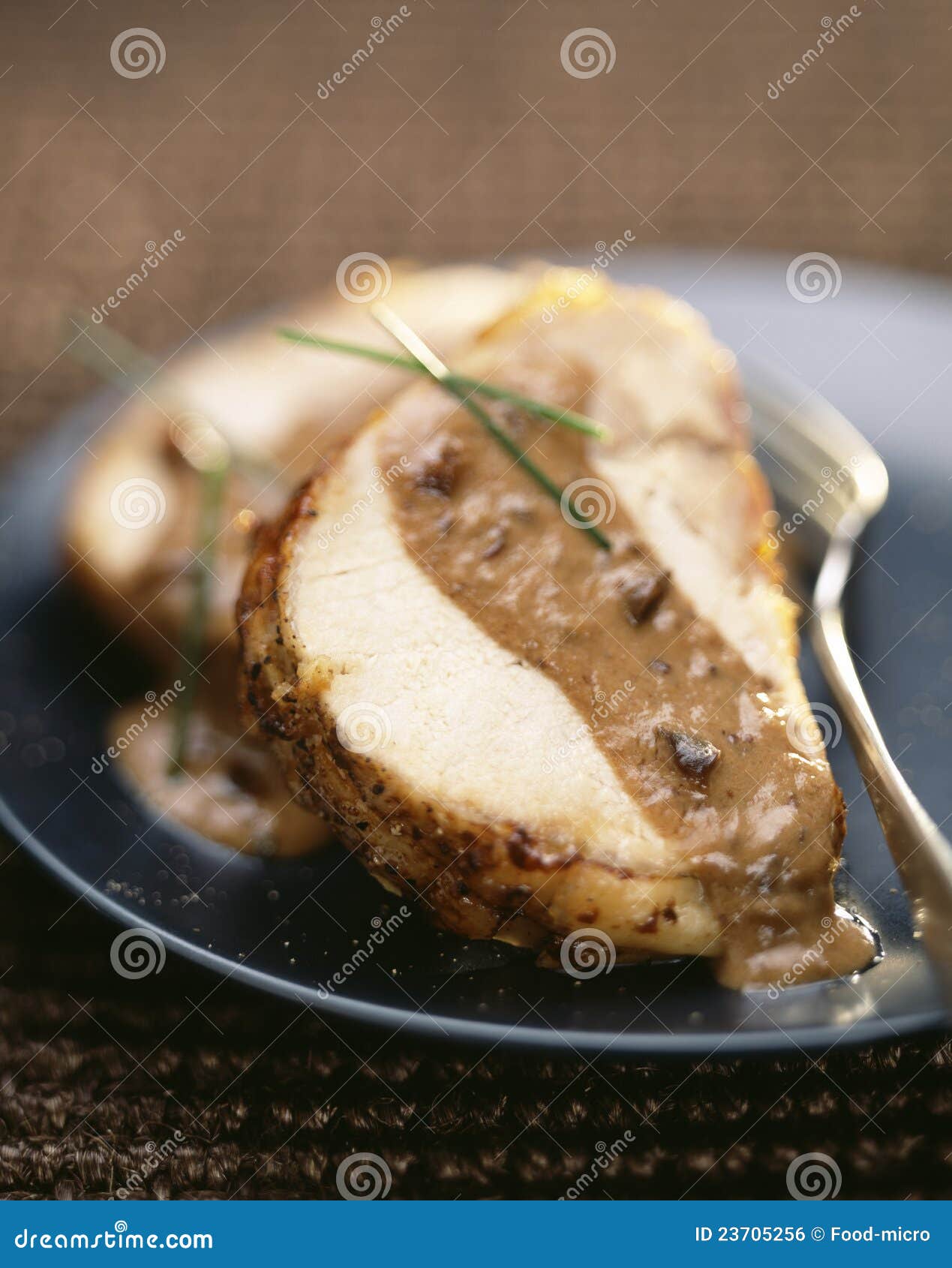 Roast pork with plum sauce stock photo. Image of dish 23705256