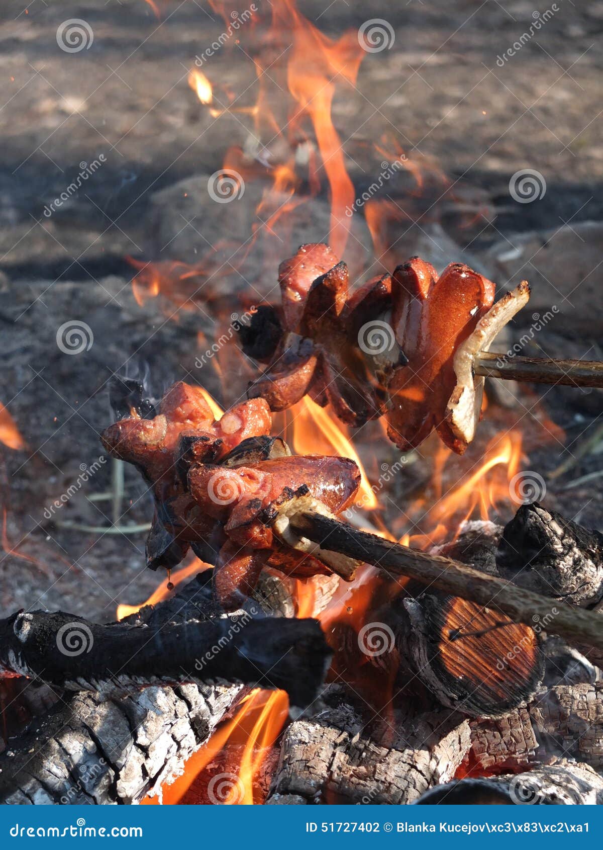 Roast Sausages Over a Fire in the Wild. Stock Photo - Image of roast ...