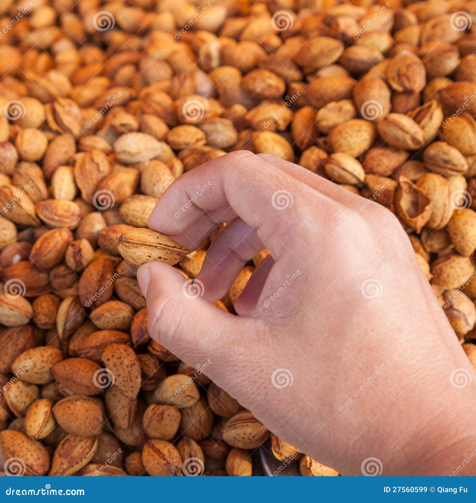 Roasted almond stock image. Image of protein, group, organic 27560599