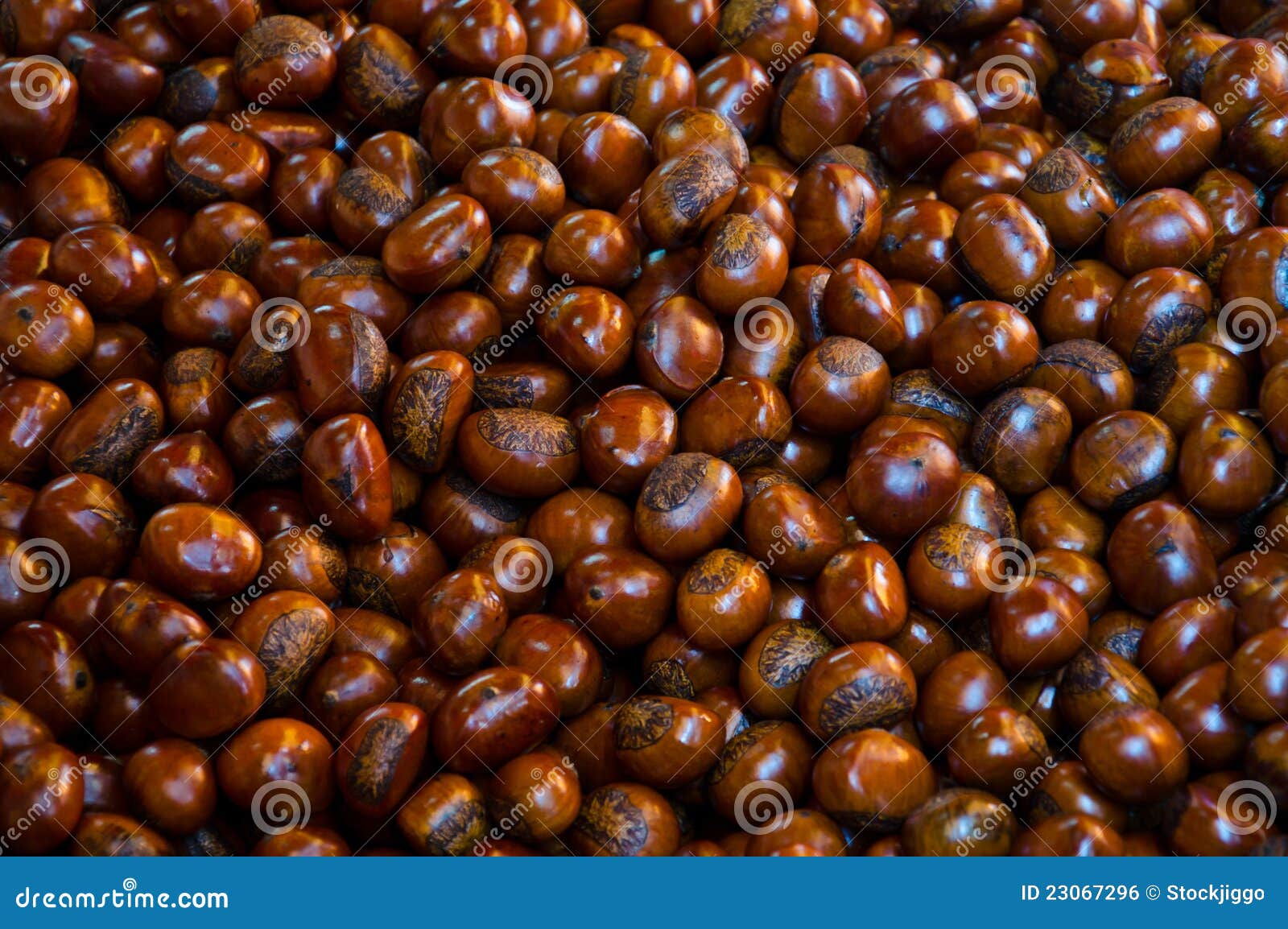 Roasted chestnuts for sale stock photo. Image of piled 23067296