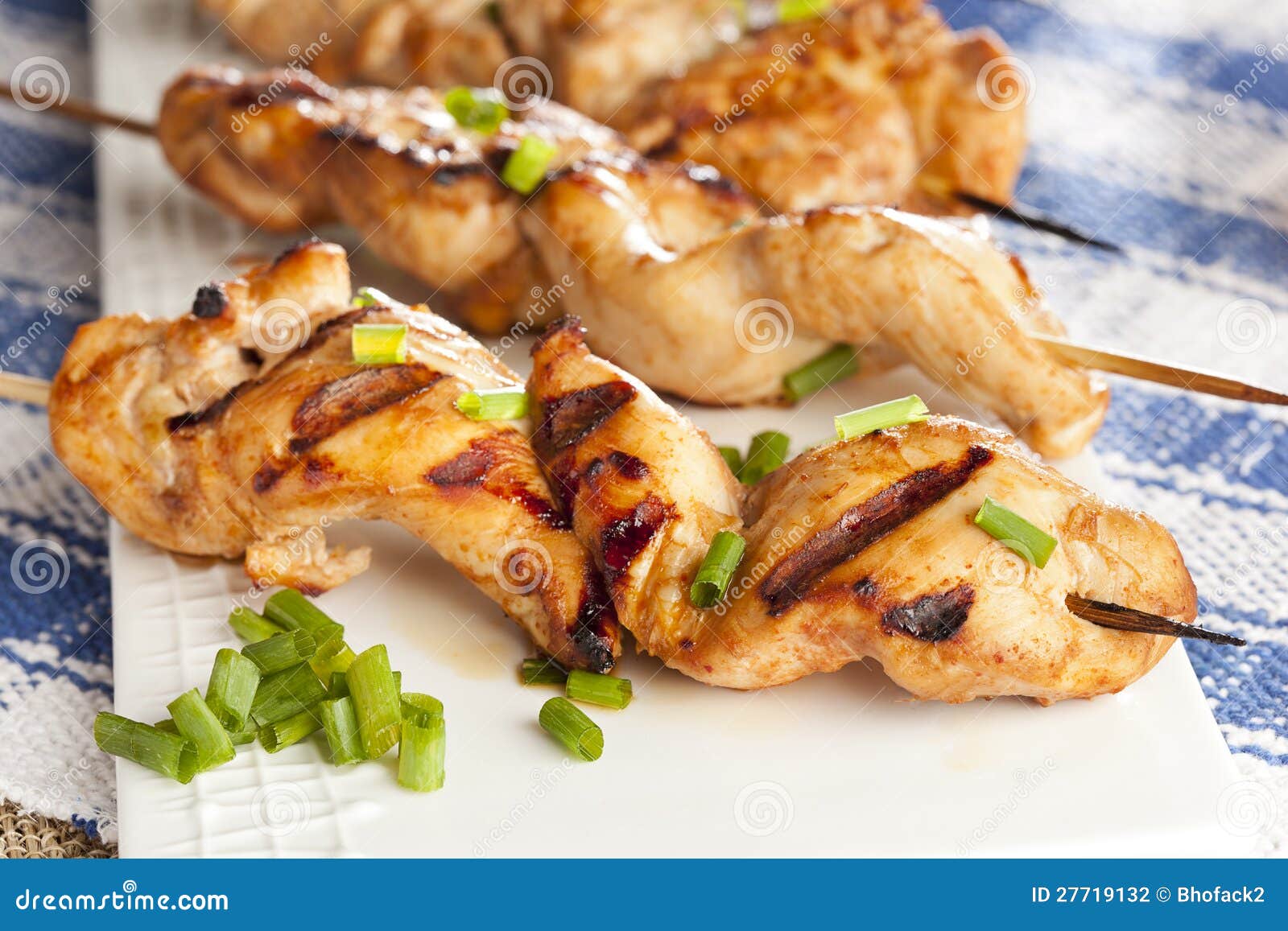 Roasted Chicken Kebab stock photo. Image of grilled, gourmet 27719132