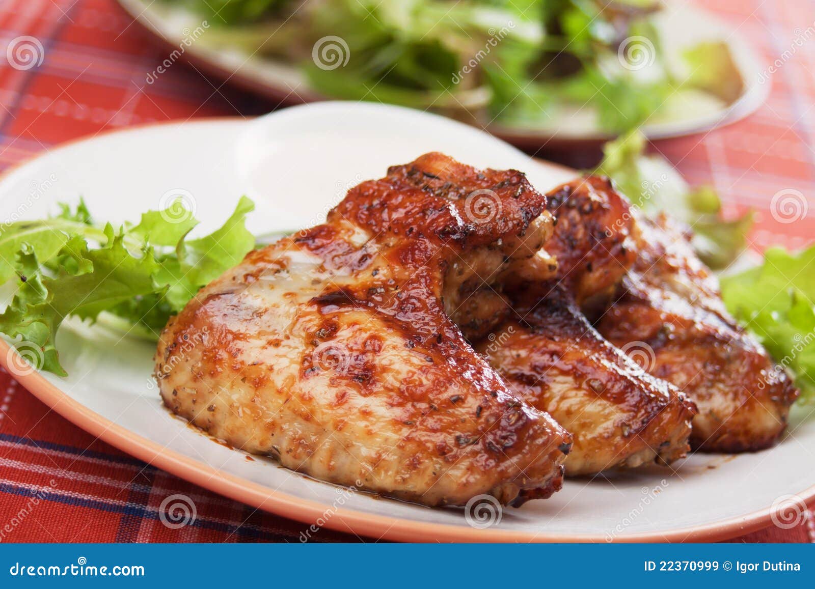 Roasted chicken wings stock image. Image of photograph 22370999