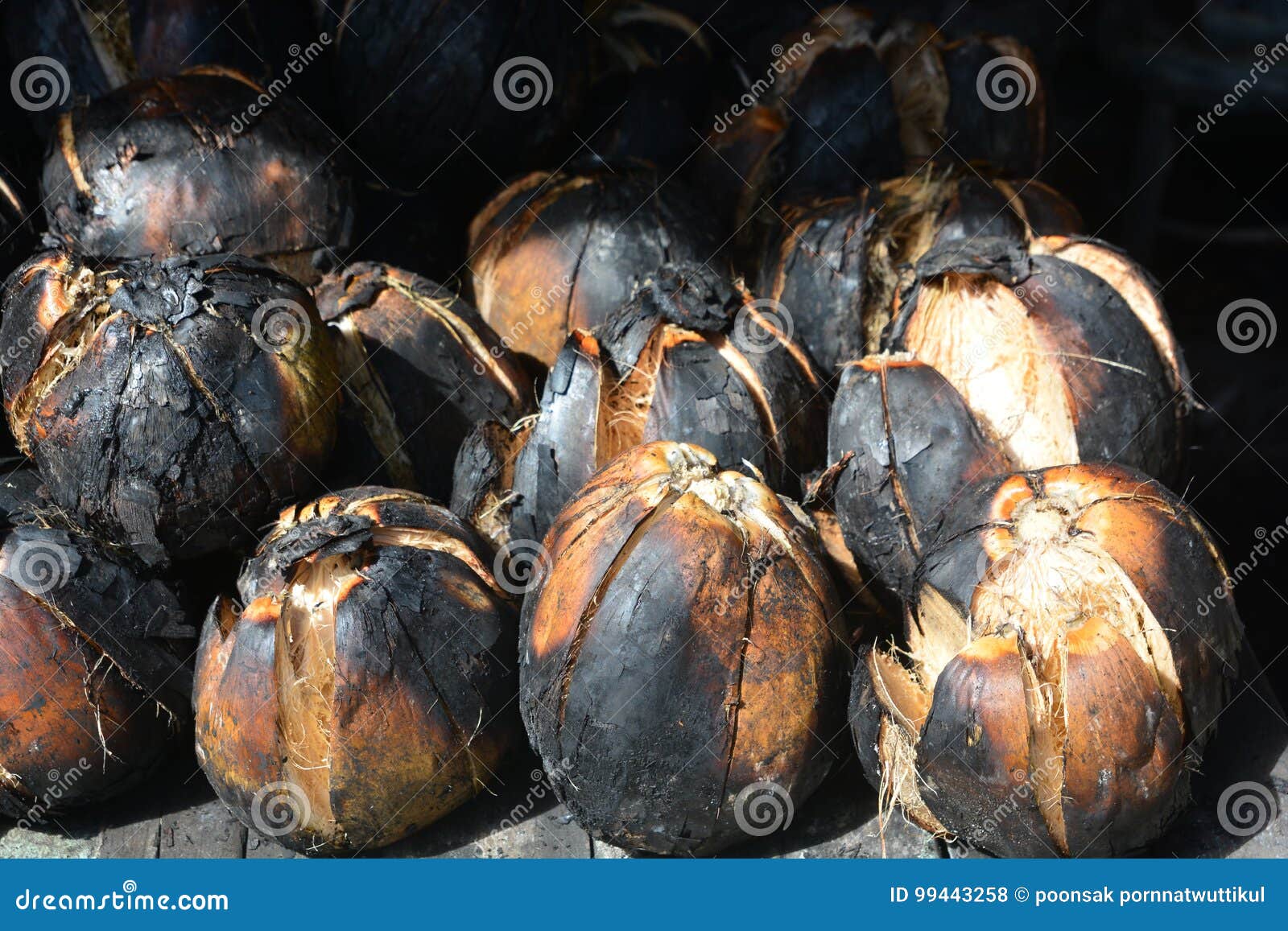 Roasted Coconut, Coconut Burn Stock Photo Image of fresh, fruit 99443258