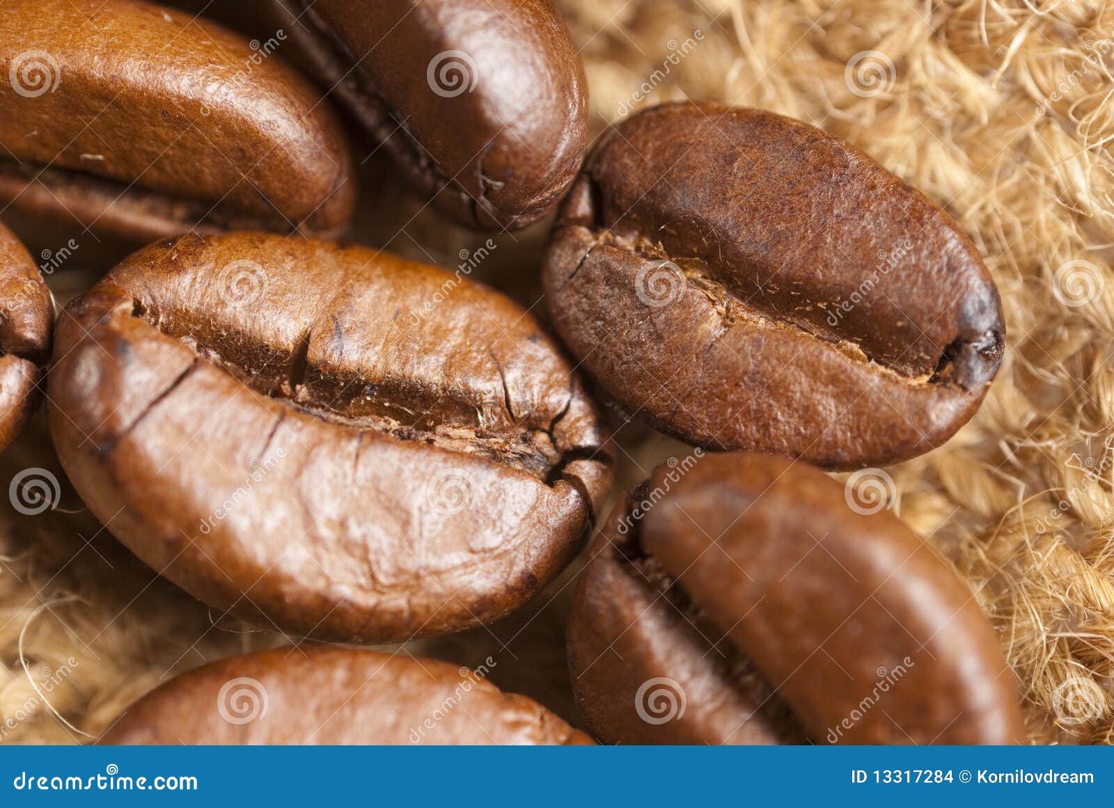 roasted coffe beans macro