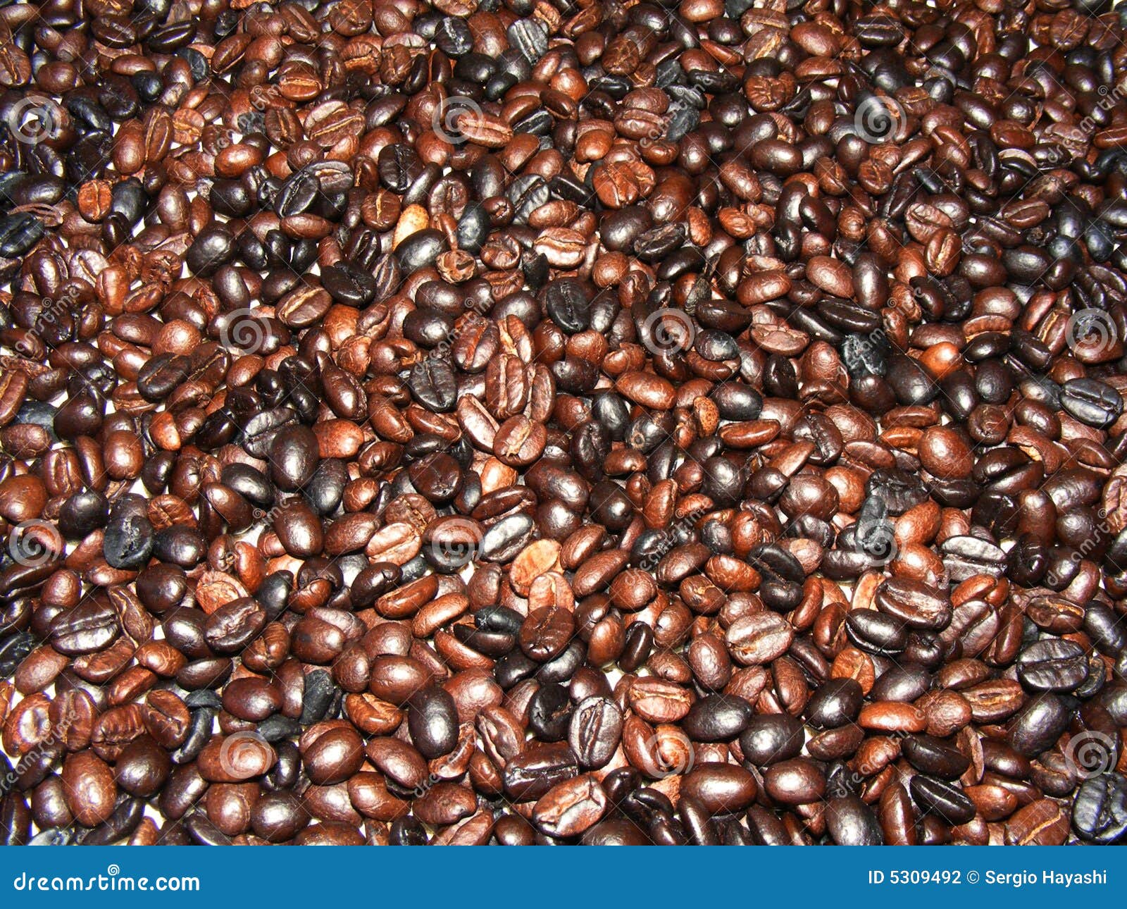 Roasted Coffee Beans stock photo. Image of beans, background 5309492