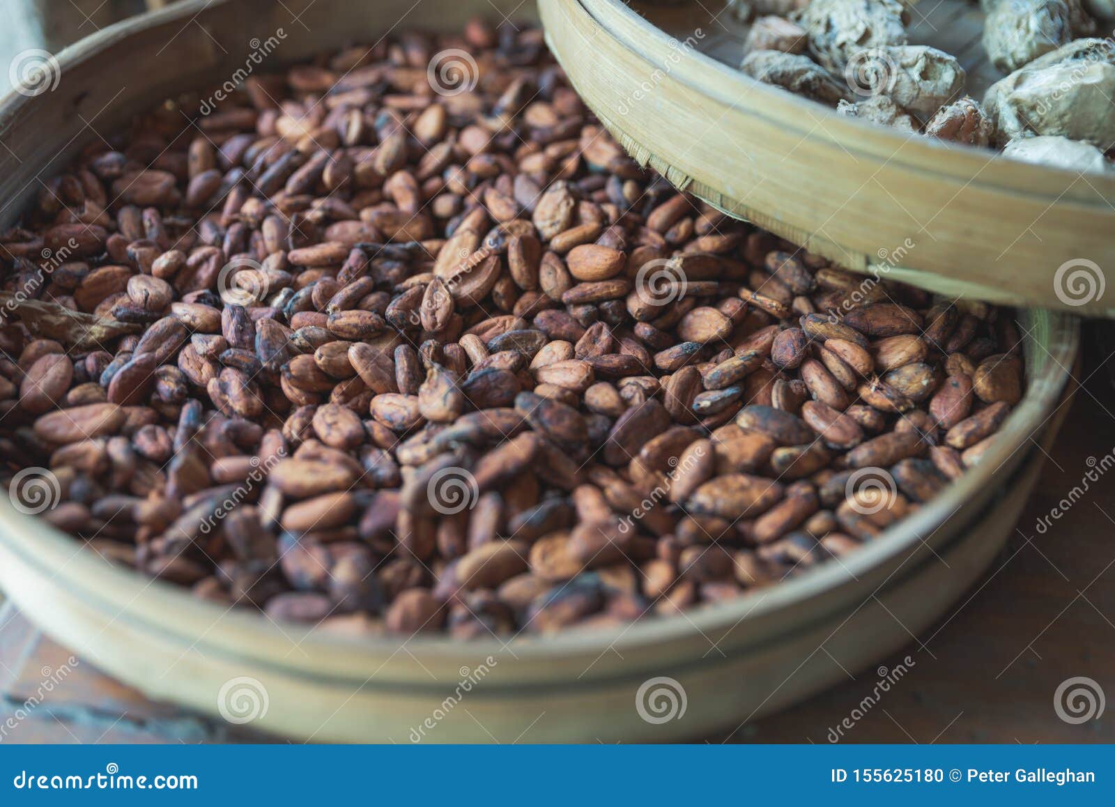 Roasted Coffee Beans in Bali Stock Photo Image of indonesia, drink