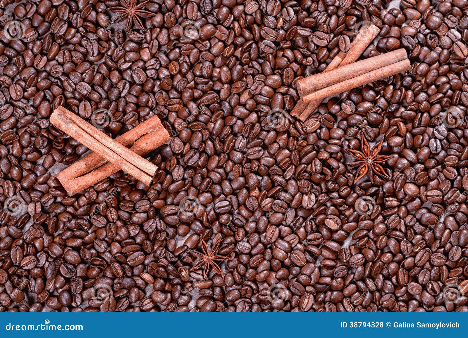 Roasted Coffee Beans with Cinnamon Sticks Stock Photo Image of macro