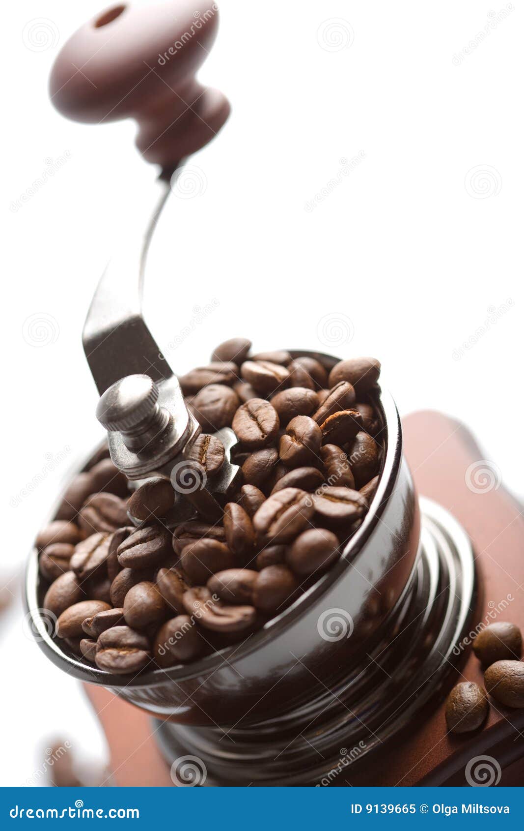 Roasted Coffee Beans in Coffee Grinder Isolated Stock Image Image of