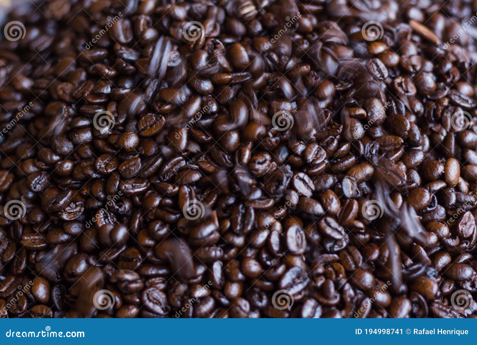 Conilon Coffee Stock Photos - Free & Royalty-Free Stock Photos