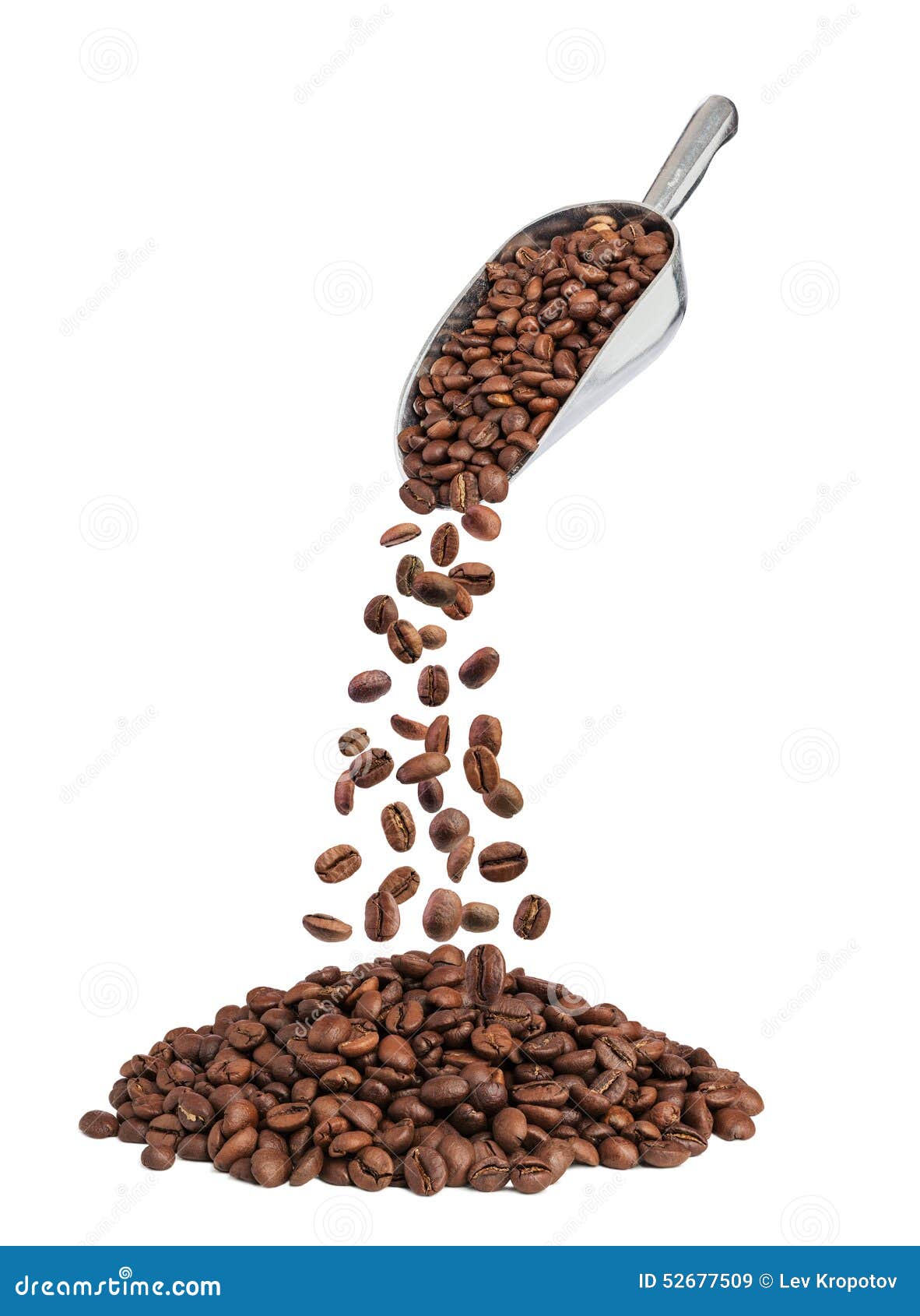 Roasted coffee beans falling down from metal scoop isolated on white