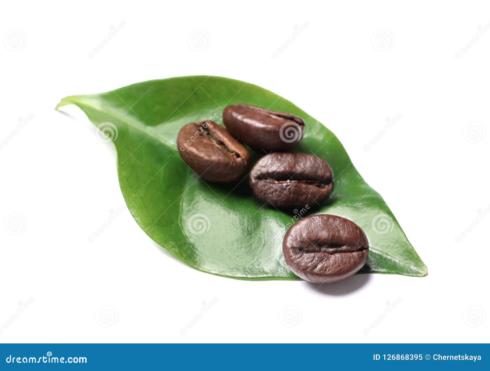 Roasted Coffee Beans and Green Leaf Stock Image Image of arabica