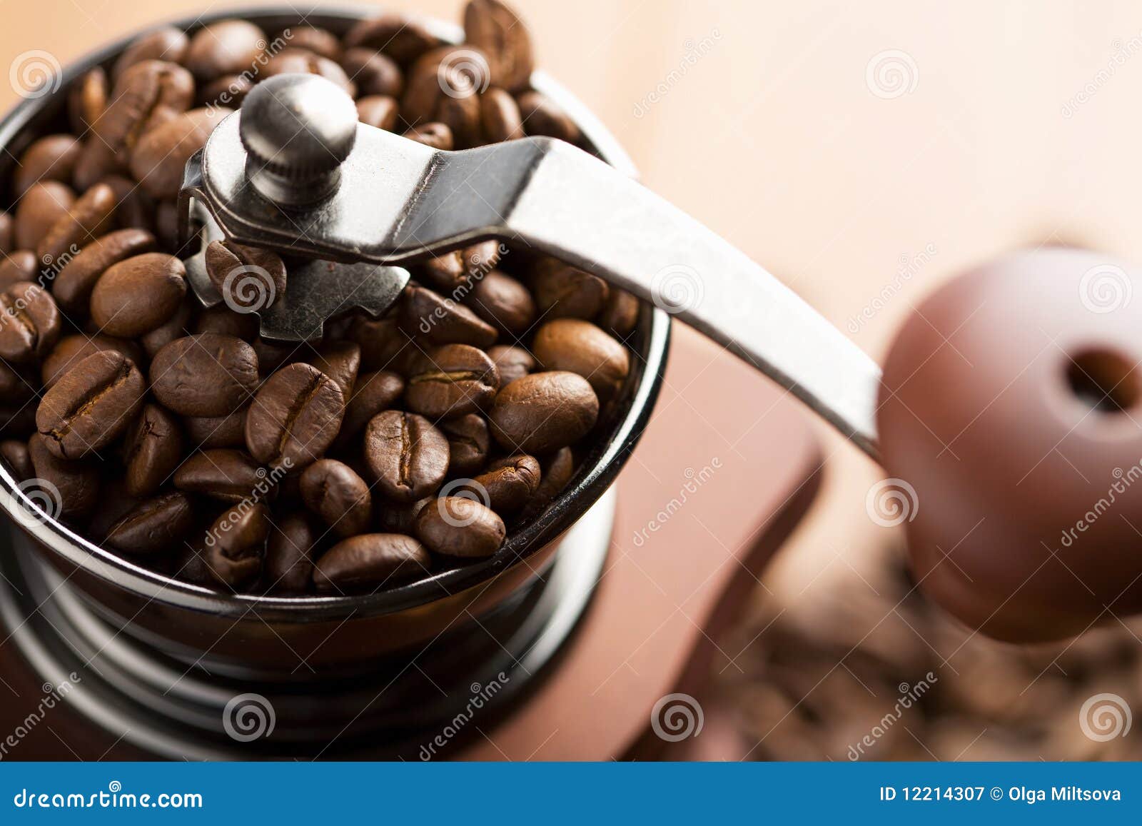 Roasted Coffee Beans in Grinder Stock Image Image of caffeine, grind
