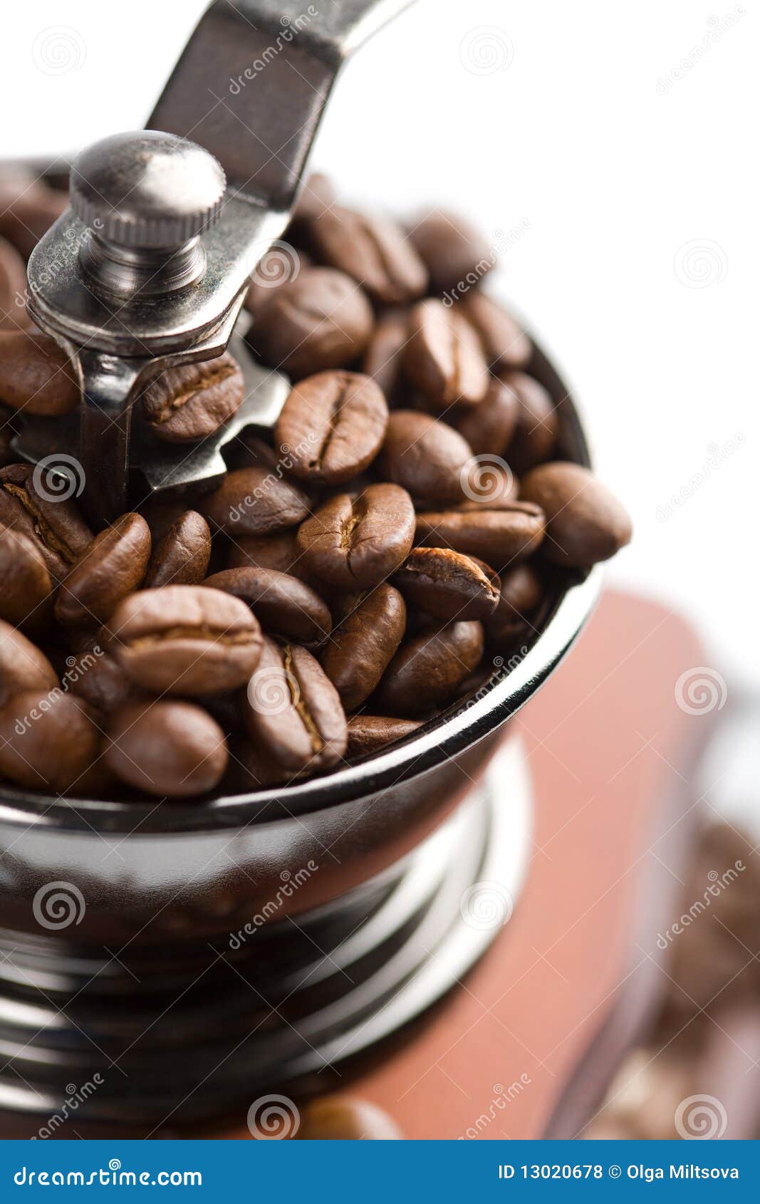 Roasted Coffee Beans in Grinder Isolated Stock Photo Image of