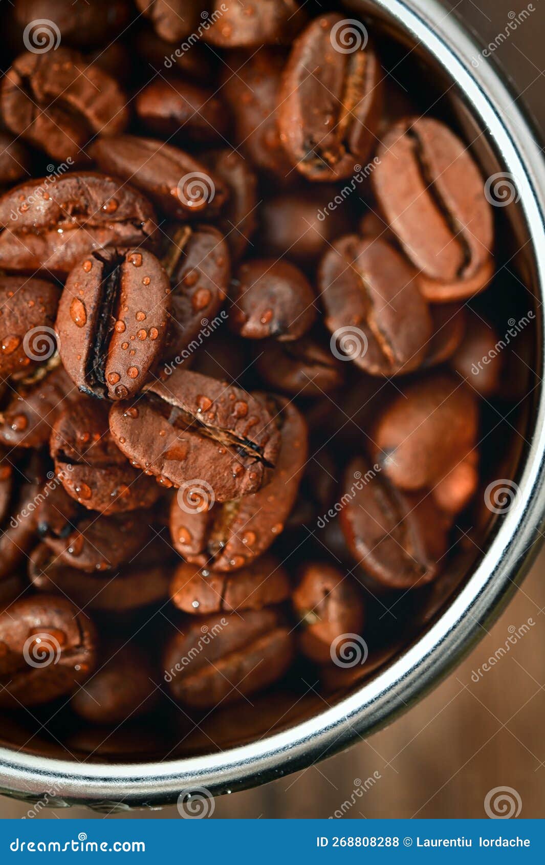 Roasted Coffee Beans in Coffee Machine Filter Stock Photo Image of