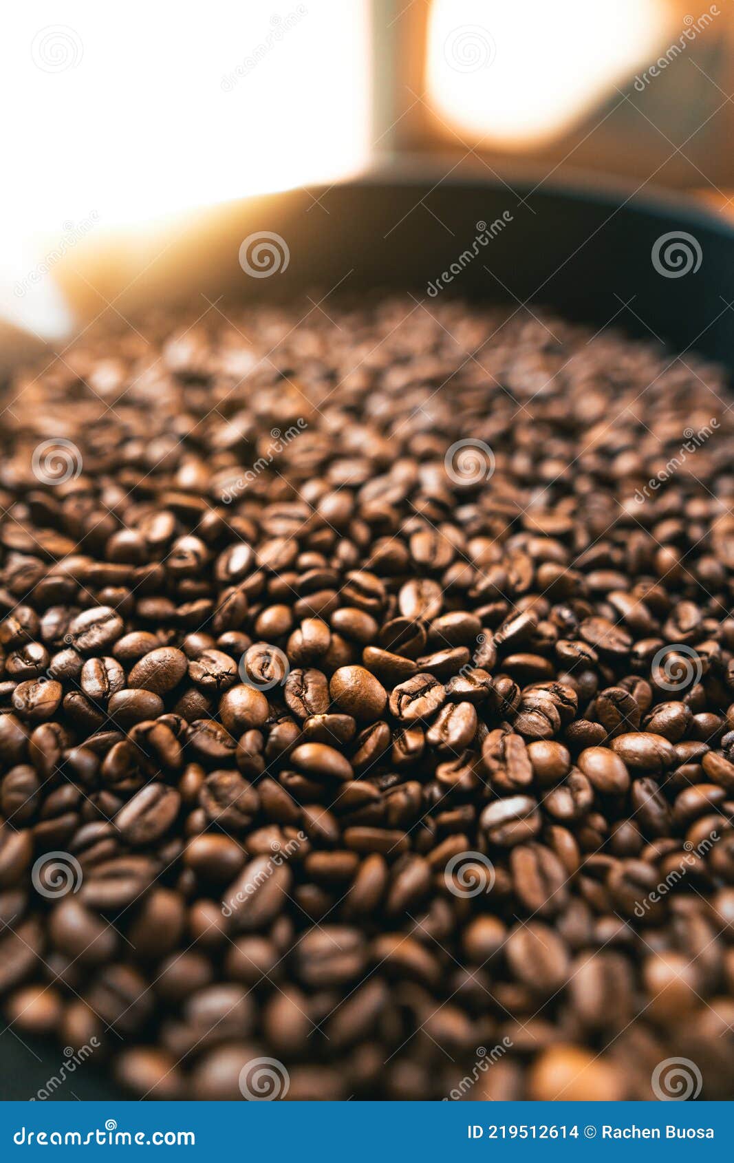 Roasted Coffee Beans in the Machine at a Coffee Shop Stock Photo