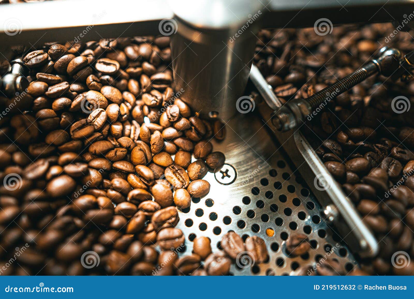 Roasted Coffee Beans in the Machine at a Coffee Shop Stock Photo