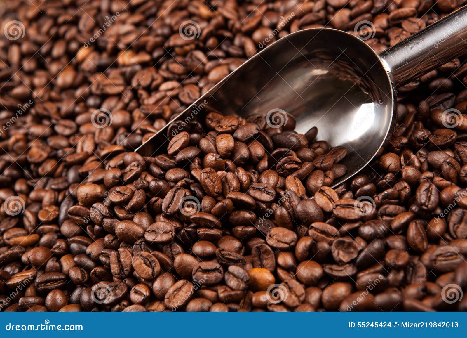 Roasted Coffee Beans with Scoop Stock Photo Image of farming, balmy