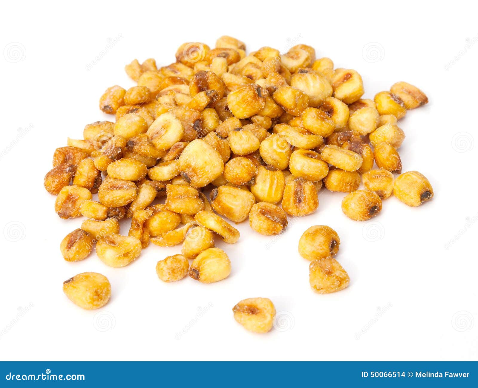Roasted Corn Nuts stock photo. Image of food, cornnuts 50066514