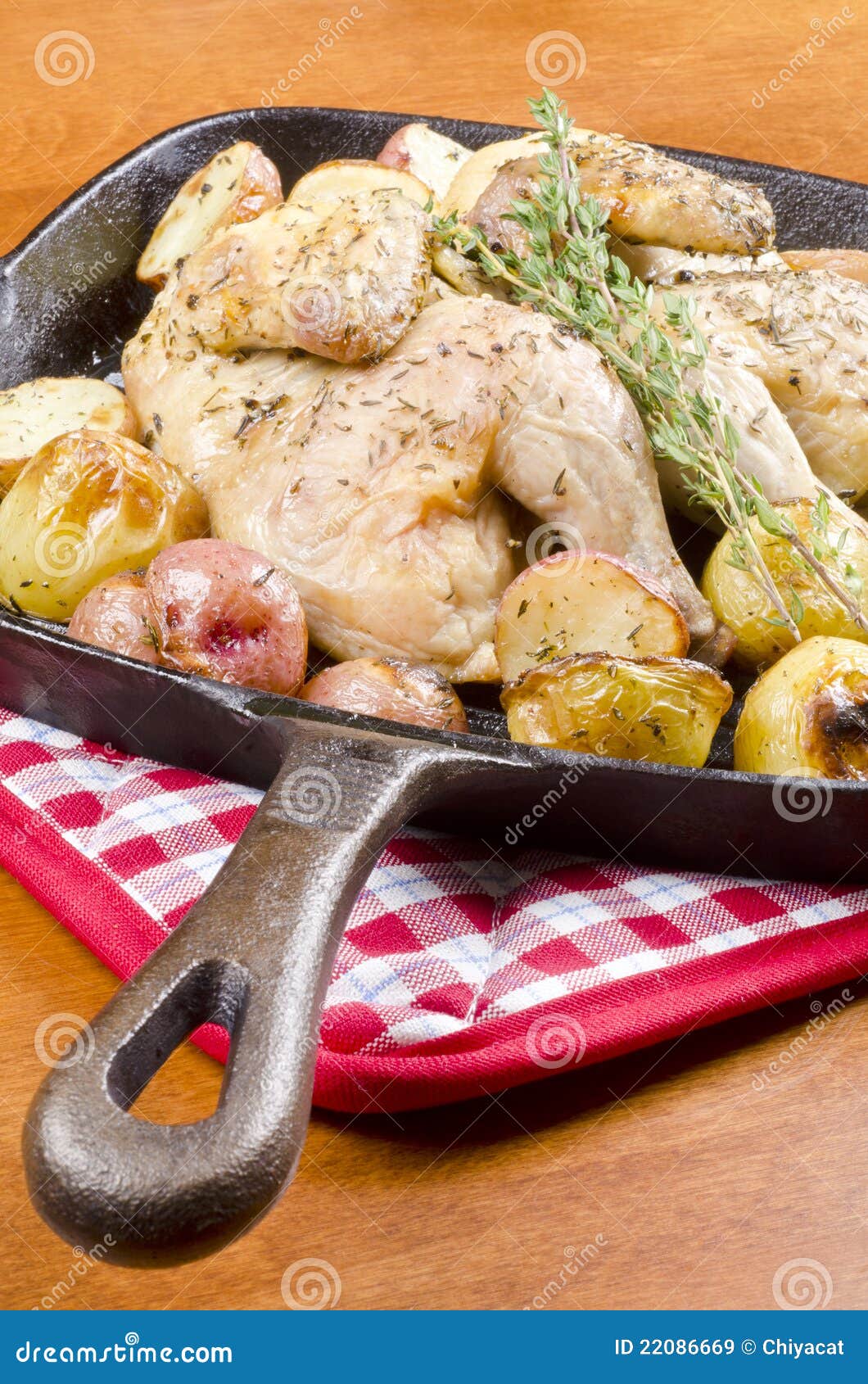 Roasted Cornish Game Hen and Potatoes Stock Image Image of game, meat