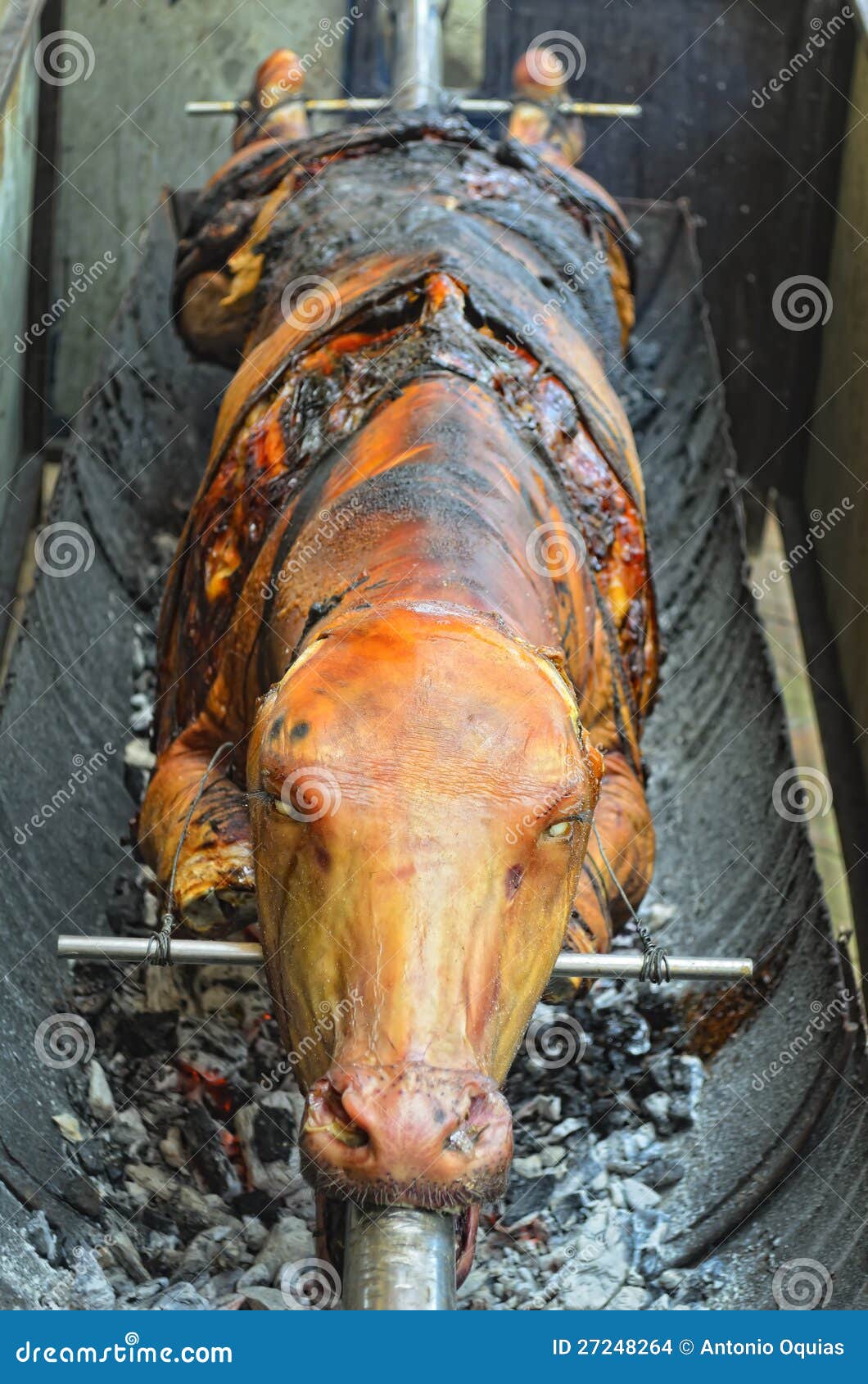 Roasted Cow stock photo. Image of aroma, traditional 27248264