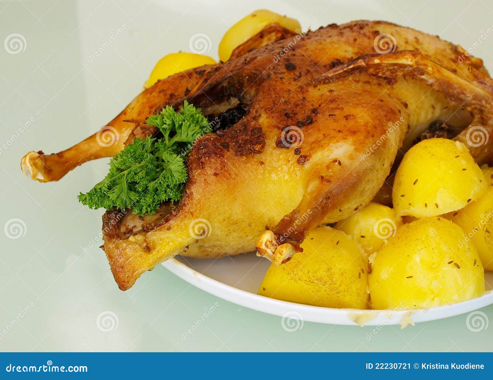 Roasted duck stock image. Image of duck, cooked, dining 22230721