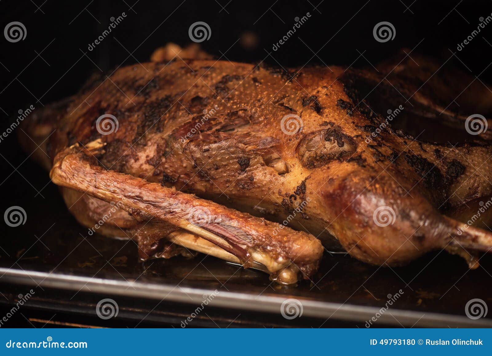 Roasted goose stock photo. Image of delicious, food, fresh 49793180