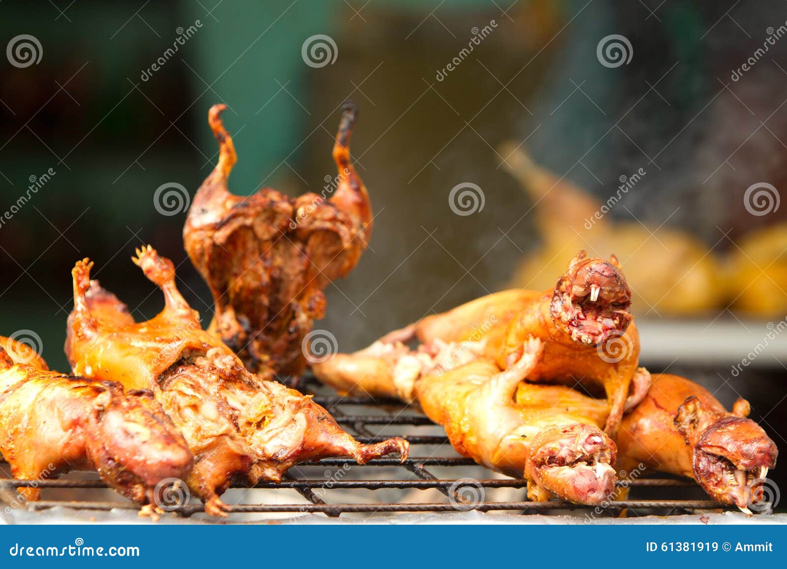 Guinea Pig Roasted Traditional Meal In Peru Royalty Free Stock Photo guinea-pig-roasted-traditional-meal-in-peru-royalty-free-stock-photo