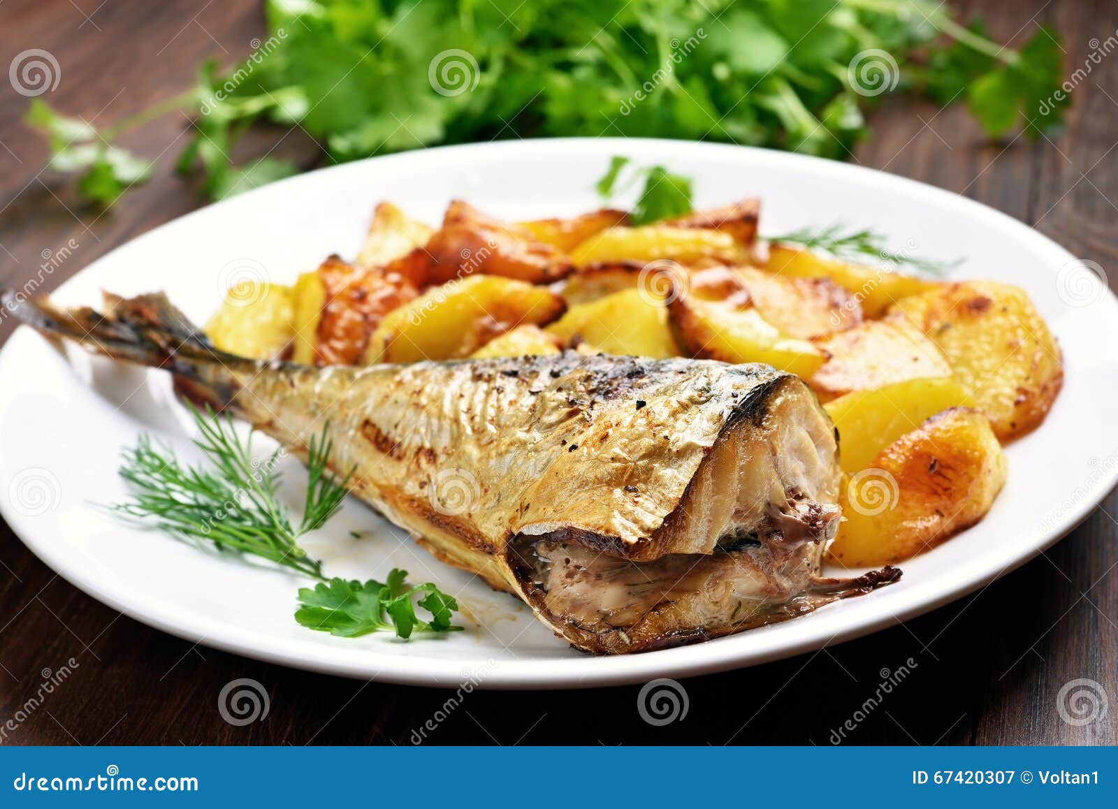 Roasted mackerel fish stock image. Image of nutrition 67420307