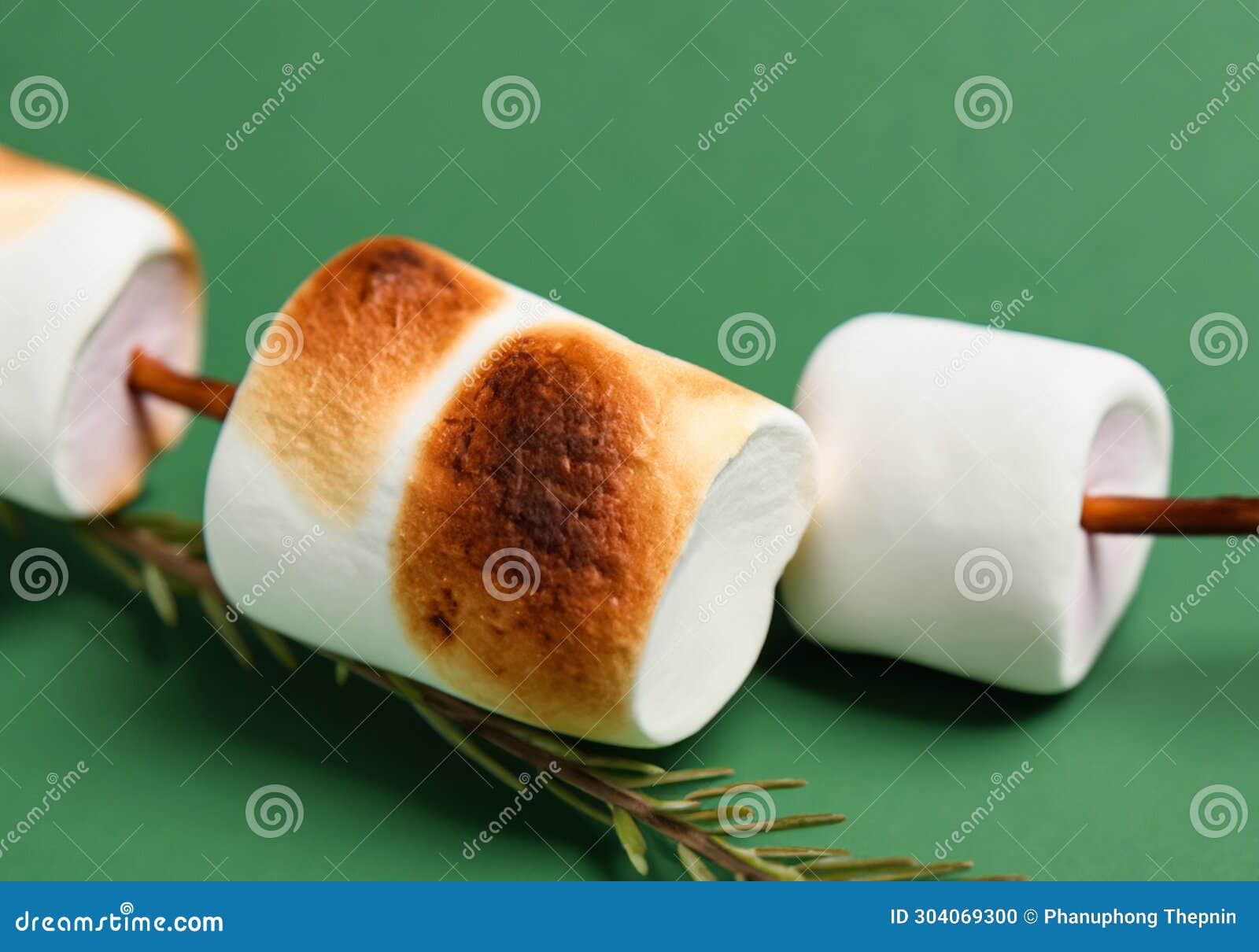 Roasted Marshmallow on Twig Stock Illustration Illustration of food