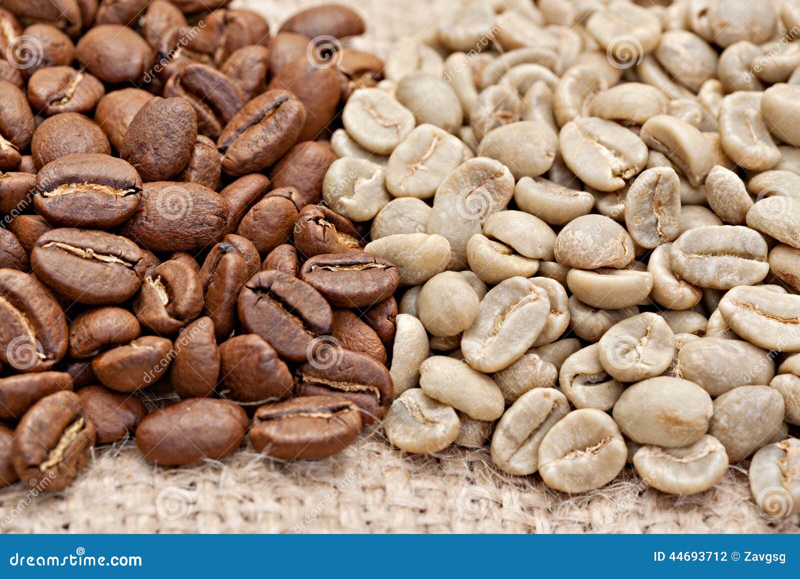 Roasted and Not Roasted Coffee Beans on the Sacking Stock Photo Image