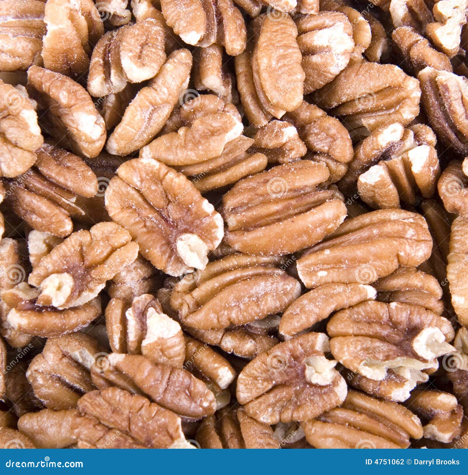 Roasted Salted Pecans stock photo. Image of pecan, grocery 4751062