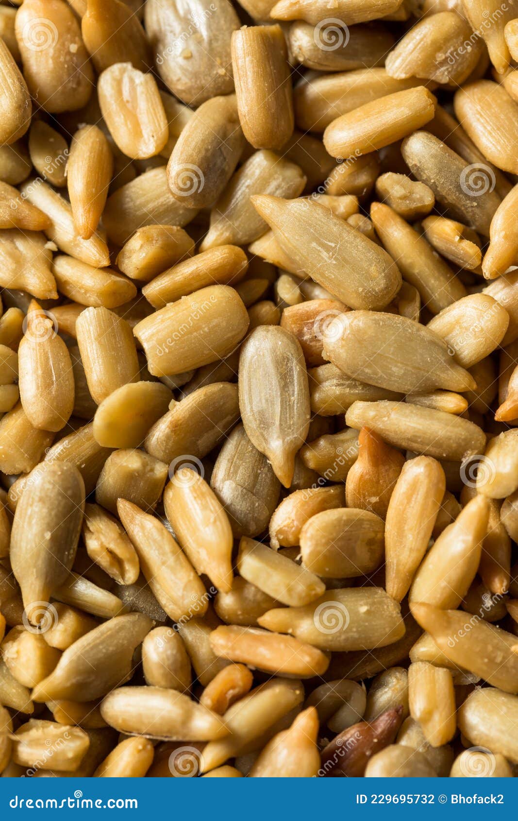 Roasted and Salted Sunflower Seeds Stock Photo Image of sunflower