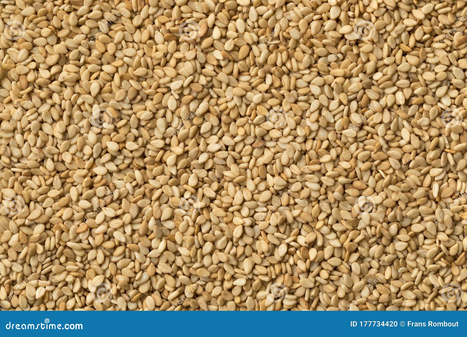 Roasted Sesame Seeds Close Up Stock Photo Image of brown, natural