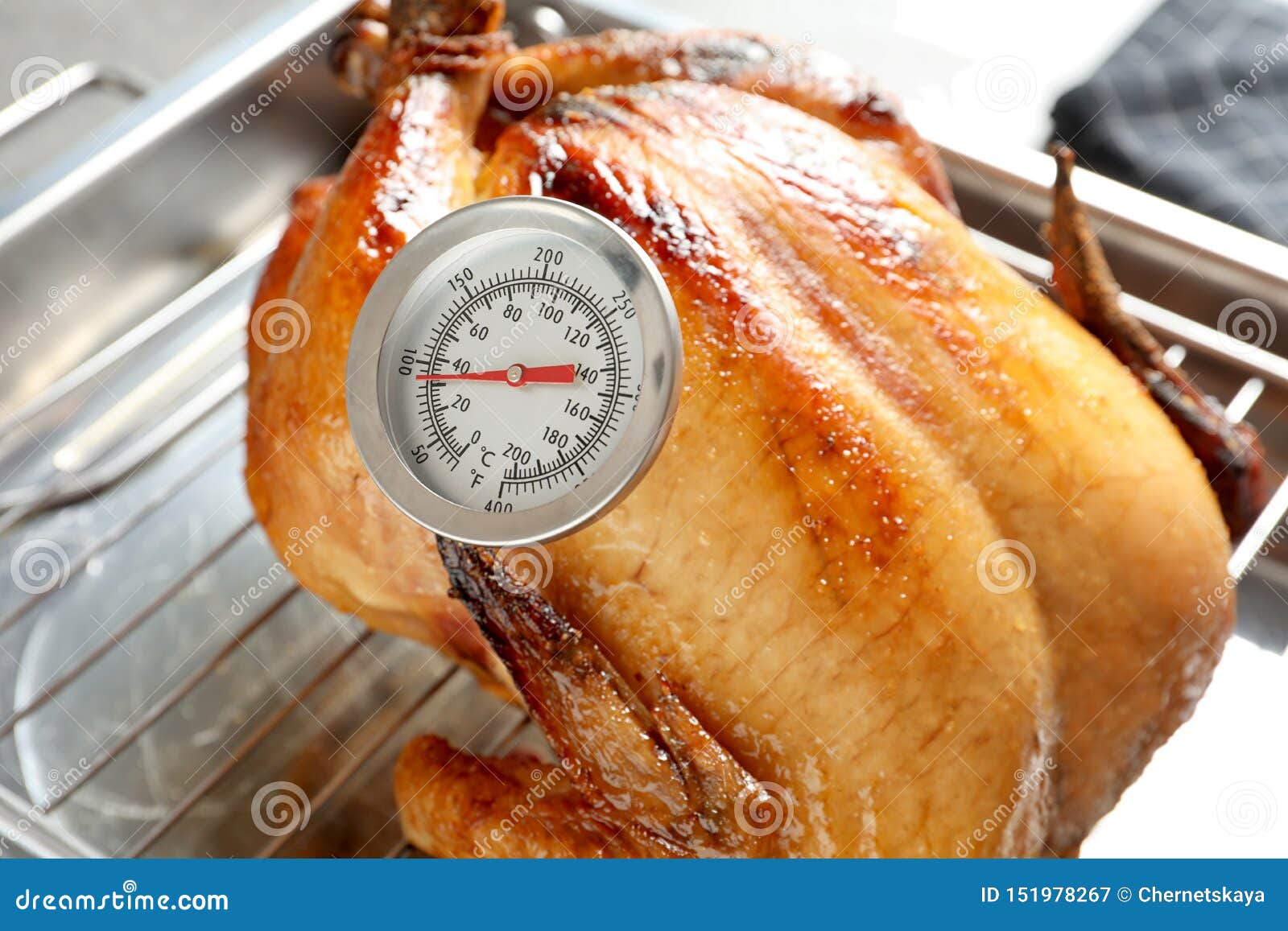 Roasted Turkey with Meat Thermometer Stock Image - Image of