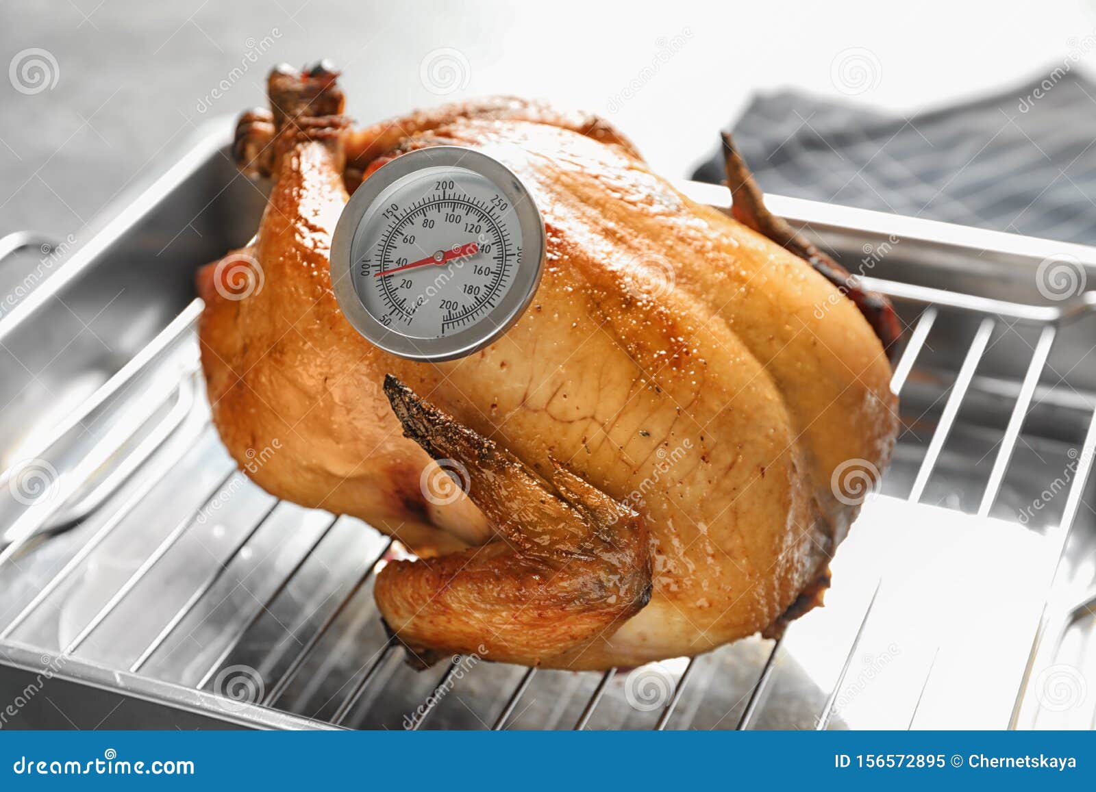 Roasted Turkey with Meat Thermometer Stock Image Image of homemade