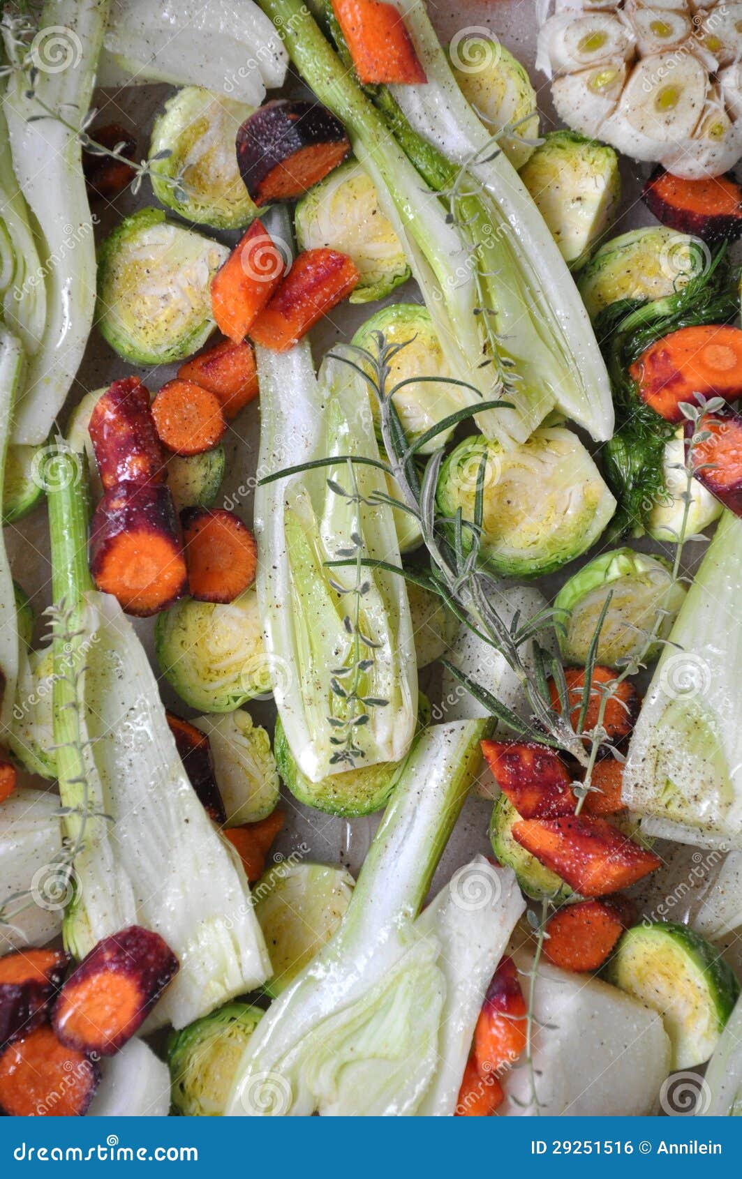 Roasted winter vegetables stock photo. Image of healthy 29251516