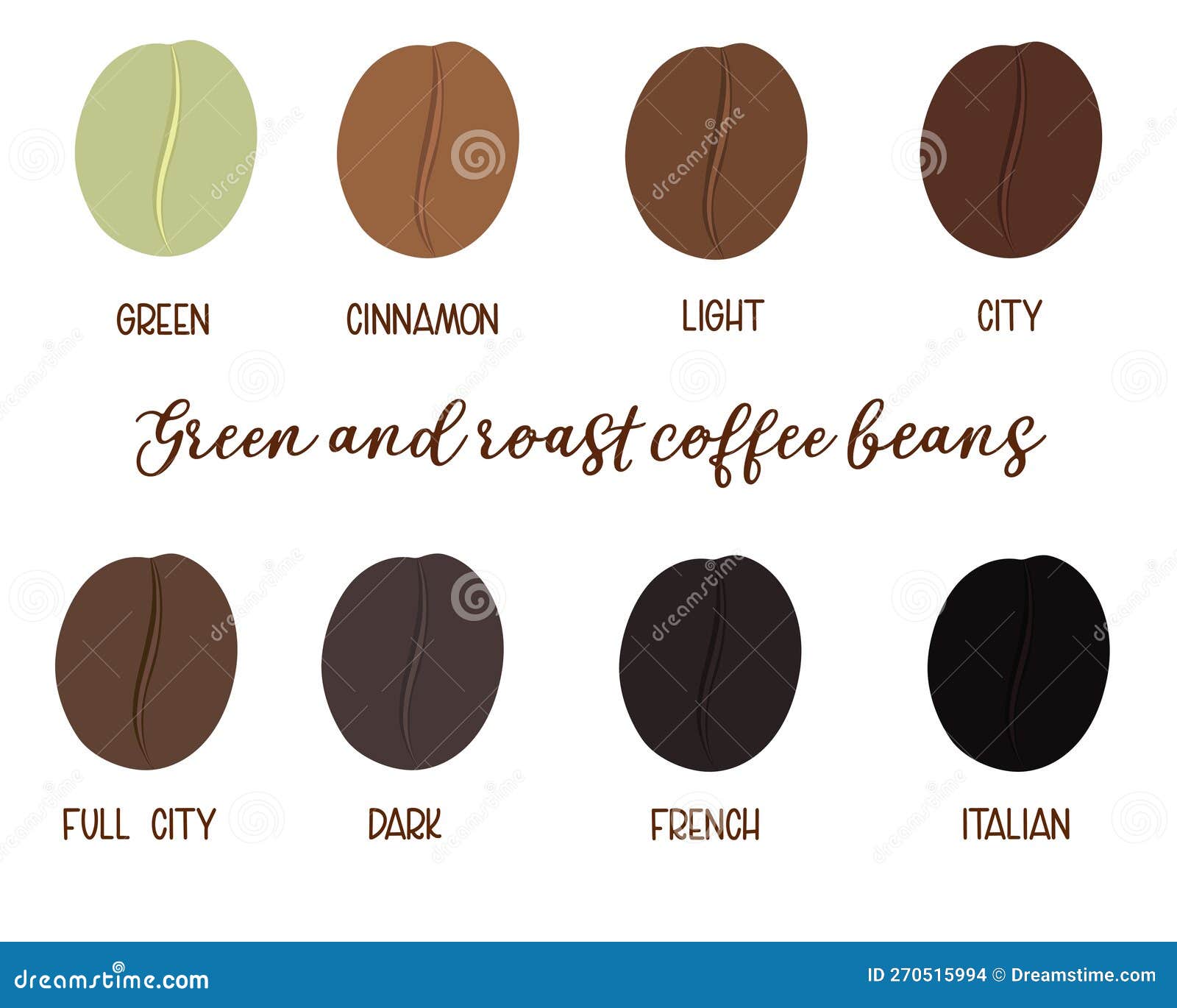 https://thumbs.dreamstime.com/z/roastedcoffee-green-roast-coffee-beans-level-colors-vector-deign-white-background-270515994.jpg