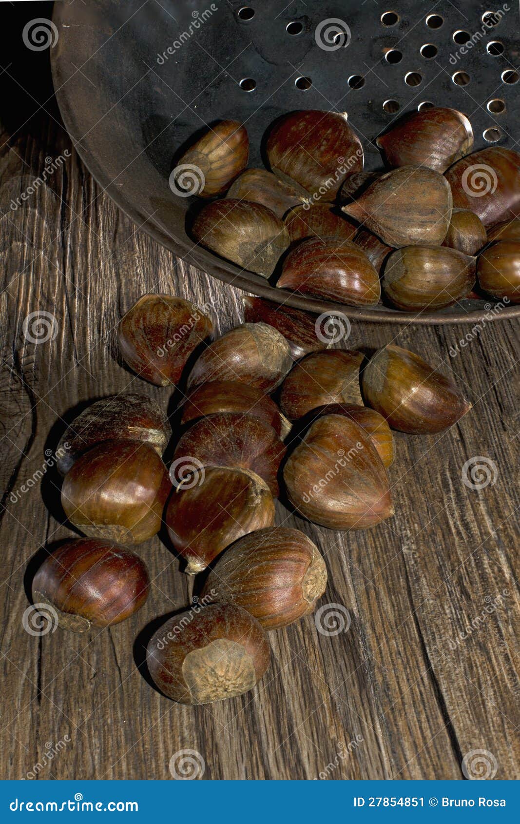 Roasting Chestnuts in a Typical Italian Pan Stock Image Image of
