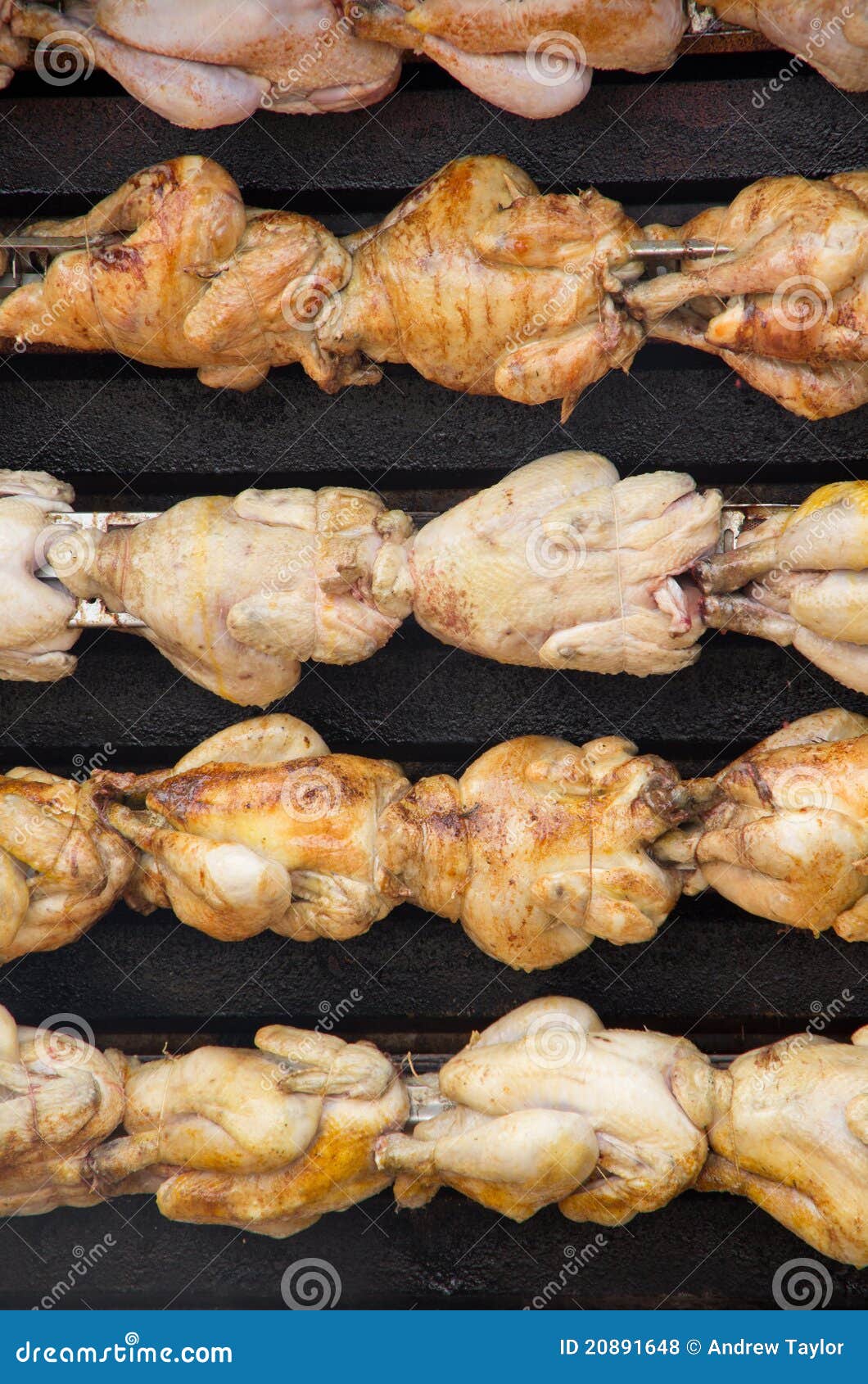 Roasting chickens stock photo. Image of poultry, roast 20891648