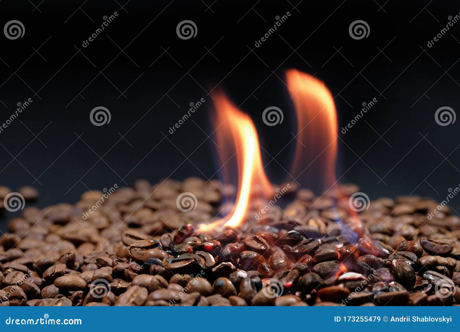 Roasting Coffee Beans with Fire on a Dark Background. Coffee Roasted