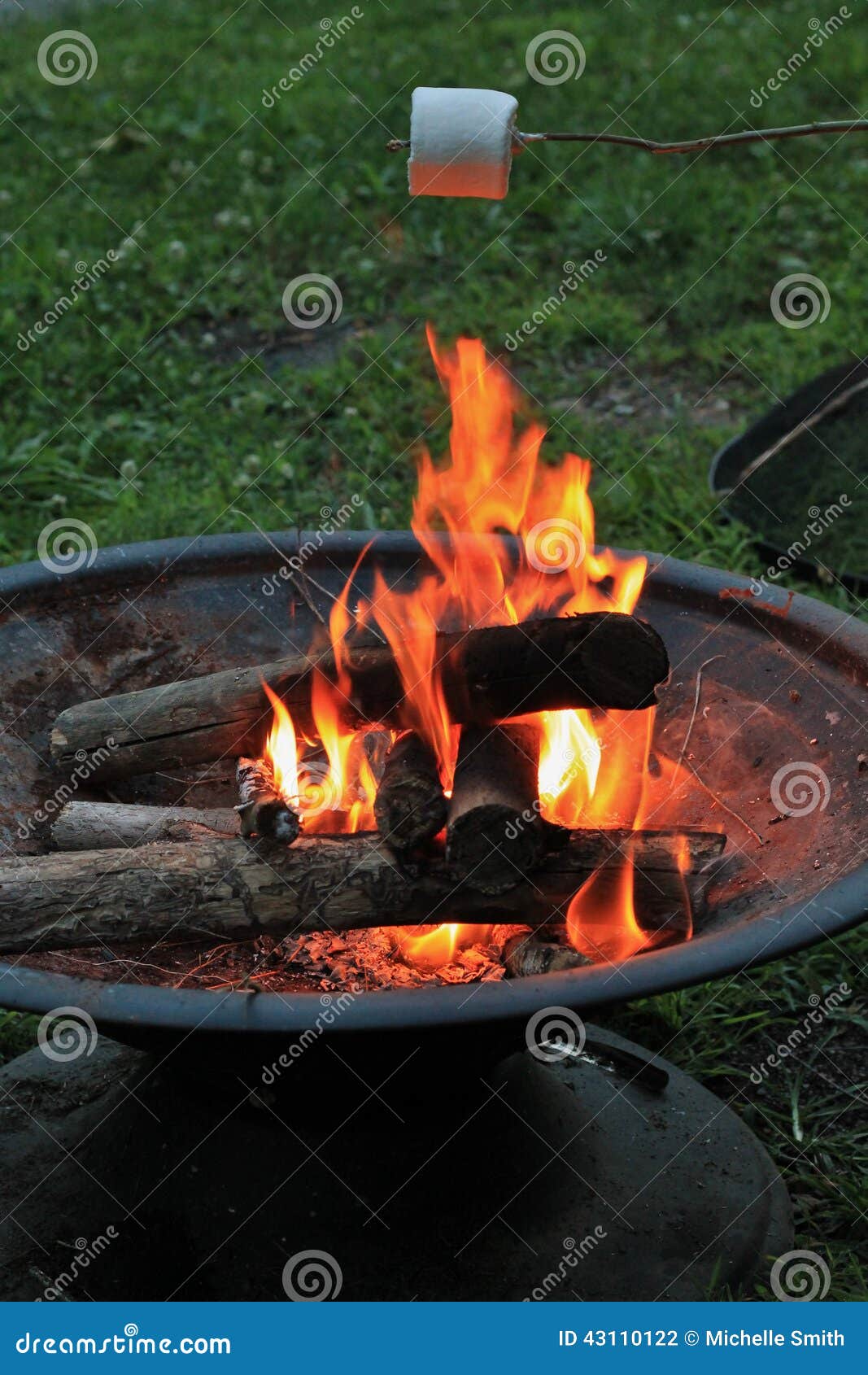 Roasting Marshmallow Over A Fire Stock Photo - Image of marshmallow ...