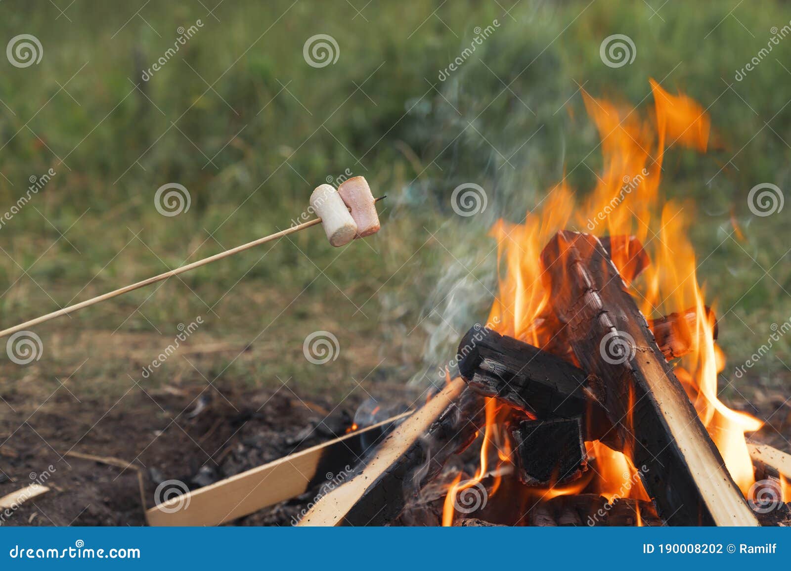 Roasting Marshmallows on a Campfire during Camping in Nature ...