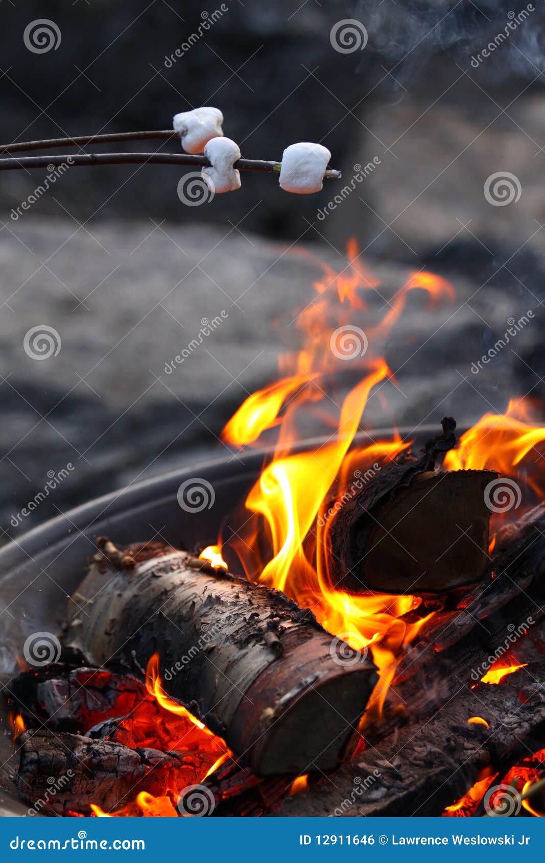 roasting marshmellows over a fire