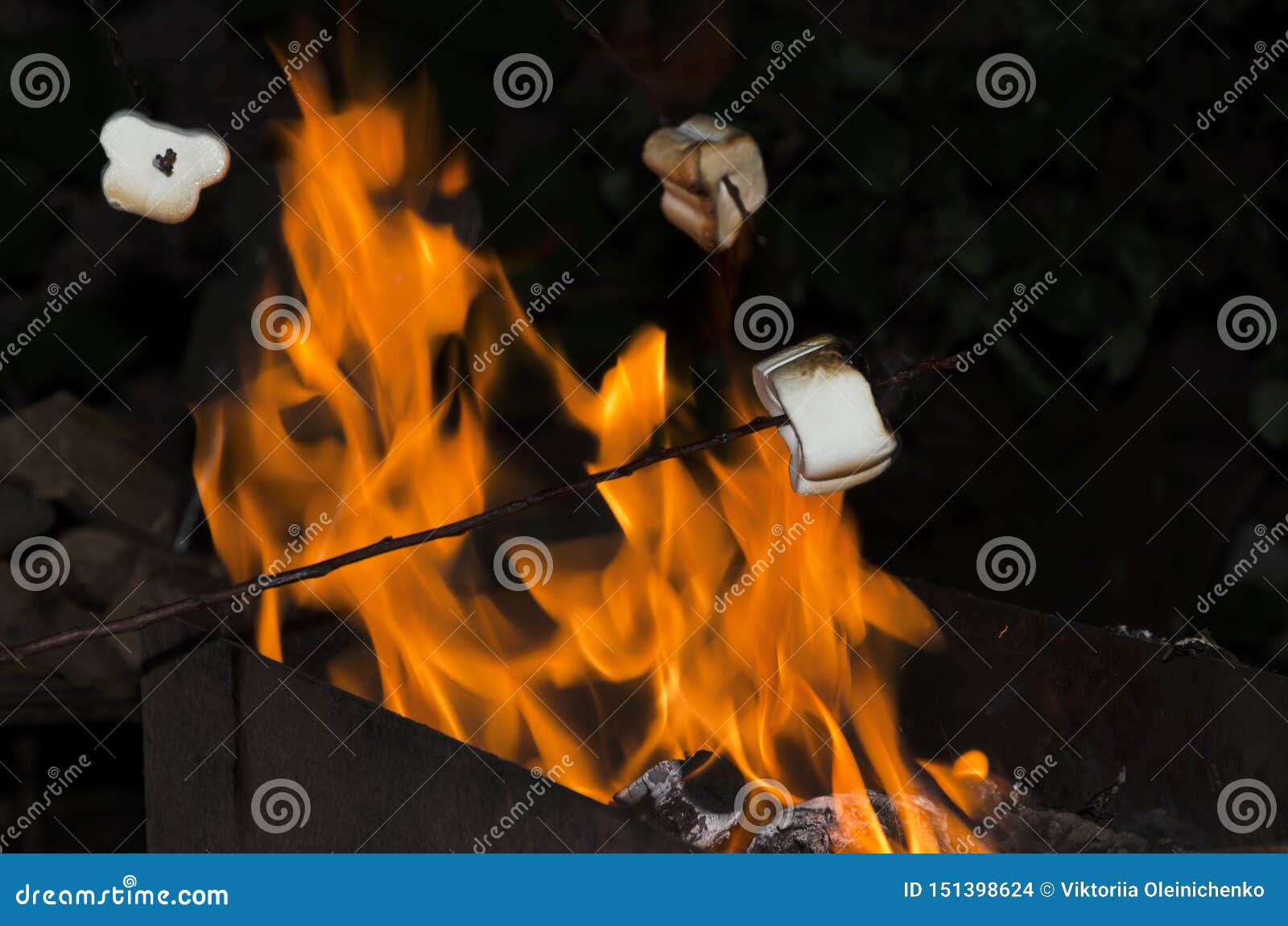 Roasting Sweet Marshmallows Outdoor.Camping Time Stock Photo - Image of ...