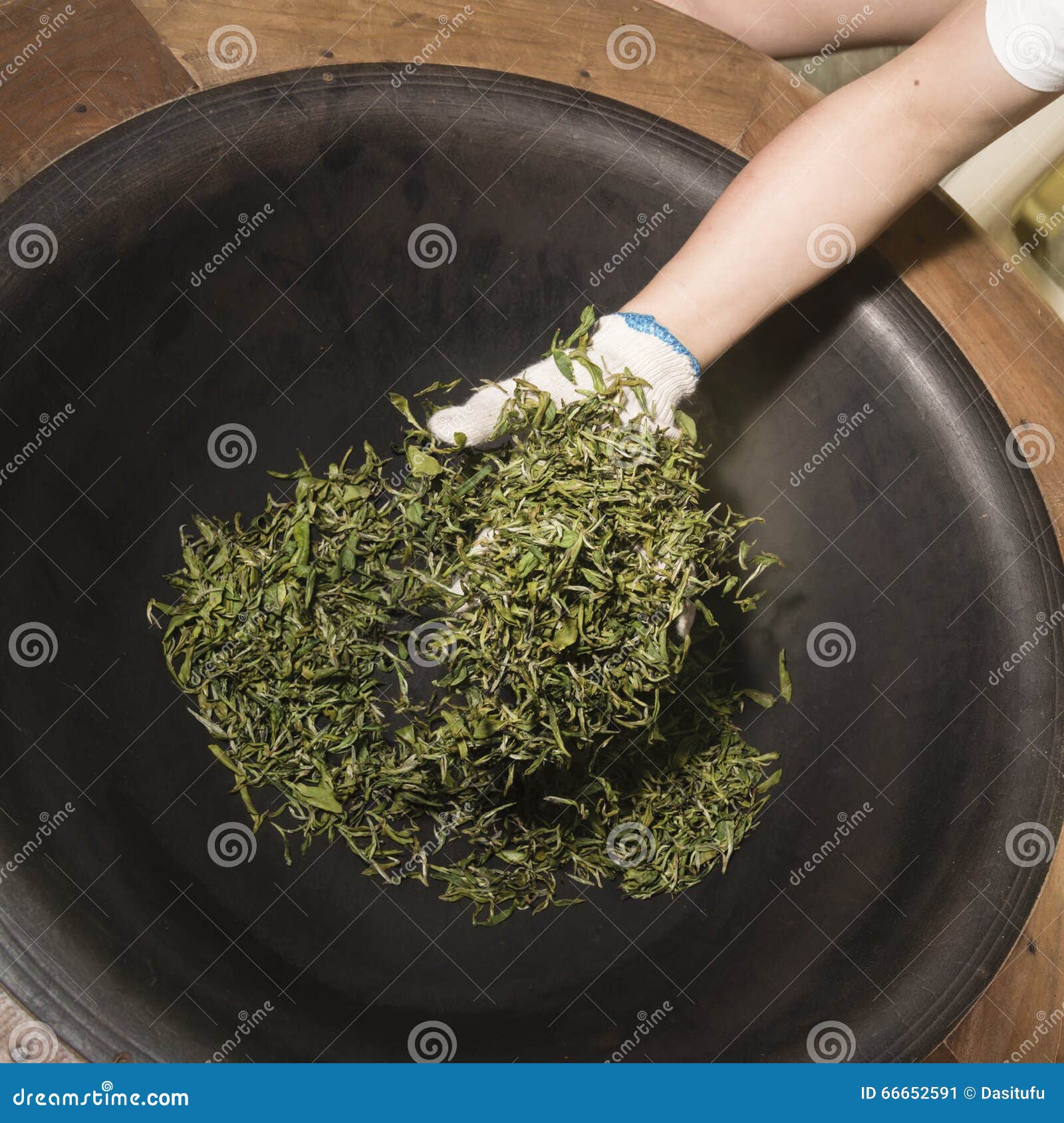 Roasting tea leaves stock image. Image of leaves, china 66652591