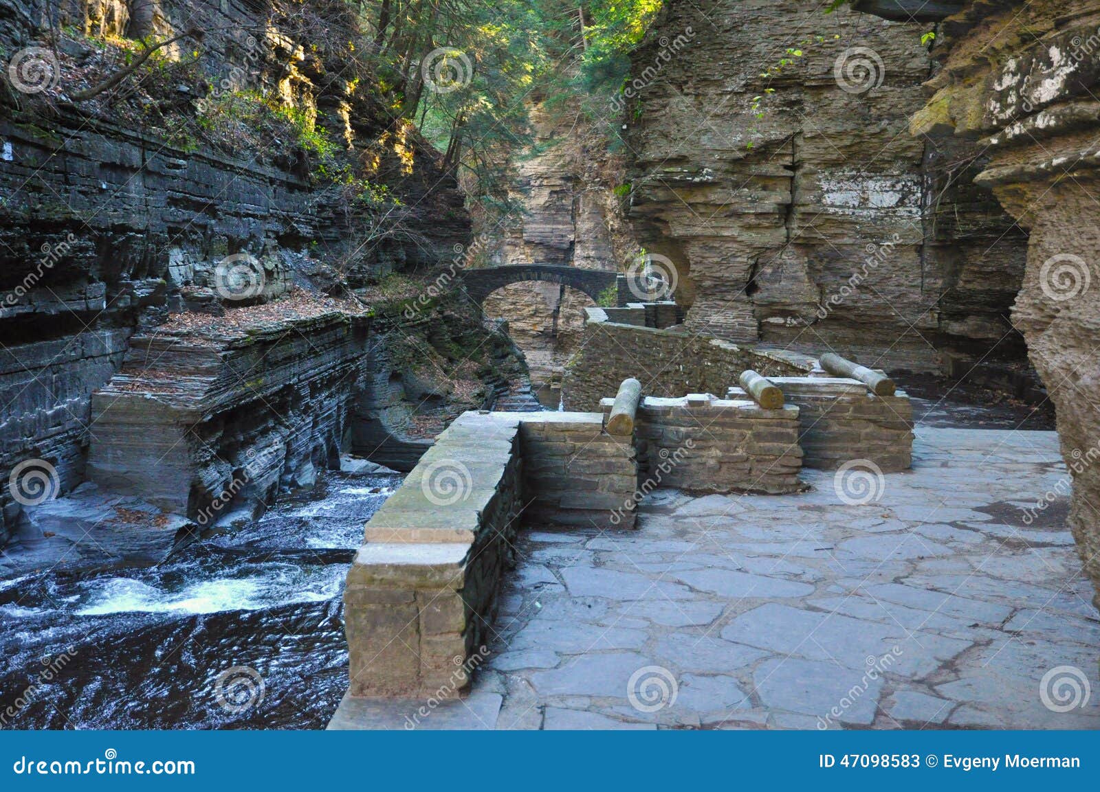 Robert Treman State Park, Ithaca, NY Immagine Stock - Immagine di