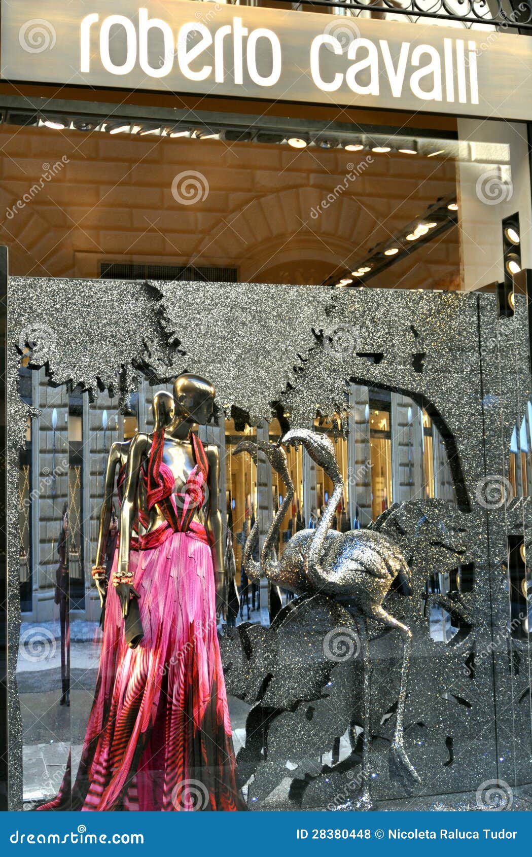 Roberto Cavalli Shop in Italy Editorial Stock Photo - Image of dress, high: 28380448