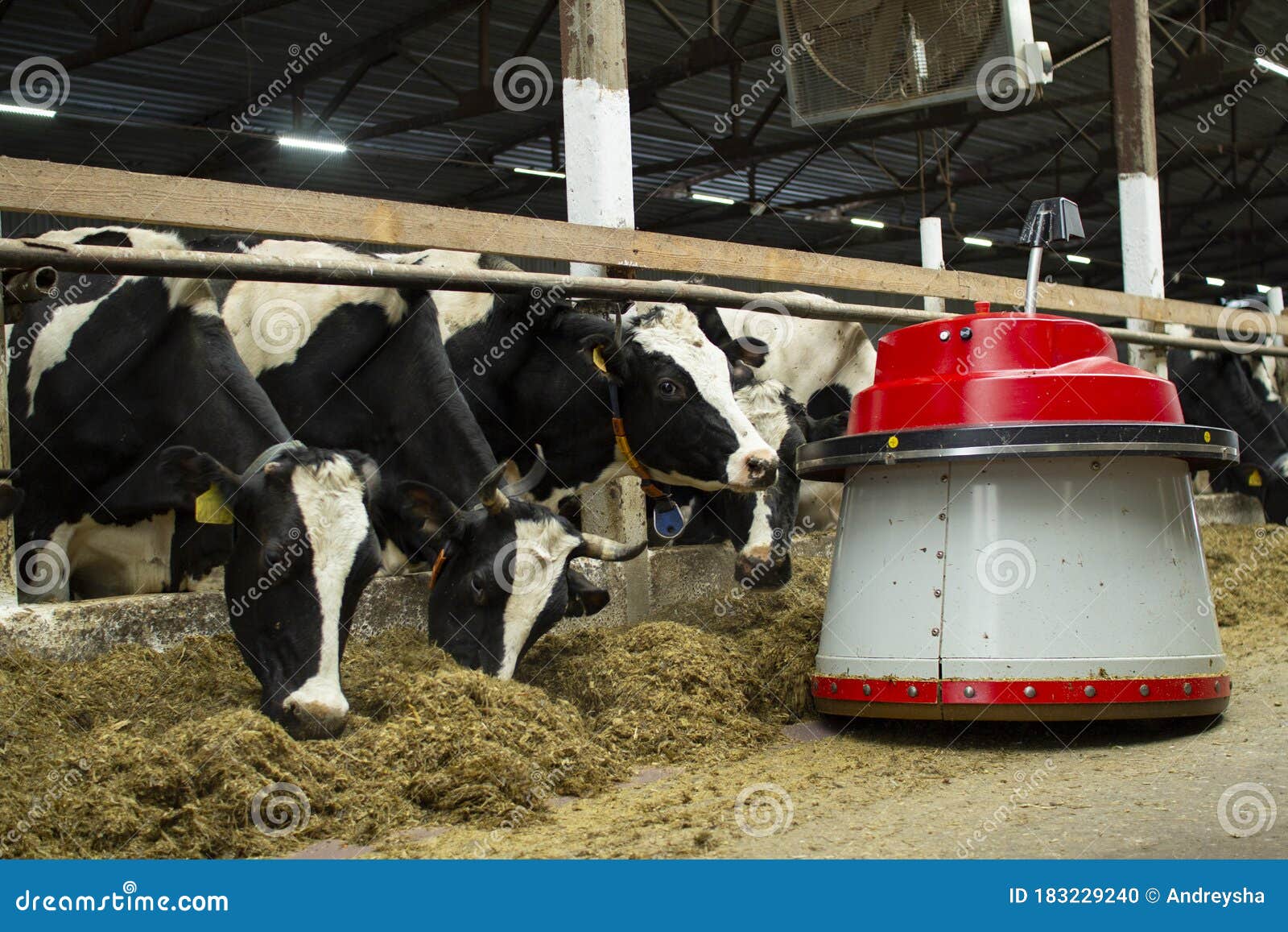The Robot Farmers are Programmed To Work in the Farm Premises for Animal Feeding. Automation in Agriculture Stock Photo - Image of human, industrial: 183229240 The Robot Farmers are Programmed To Work in the Farm Premises for Animal Feeding. Automation in Agriculture Stock Photo - Image of human, industrial: 183229240